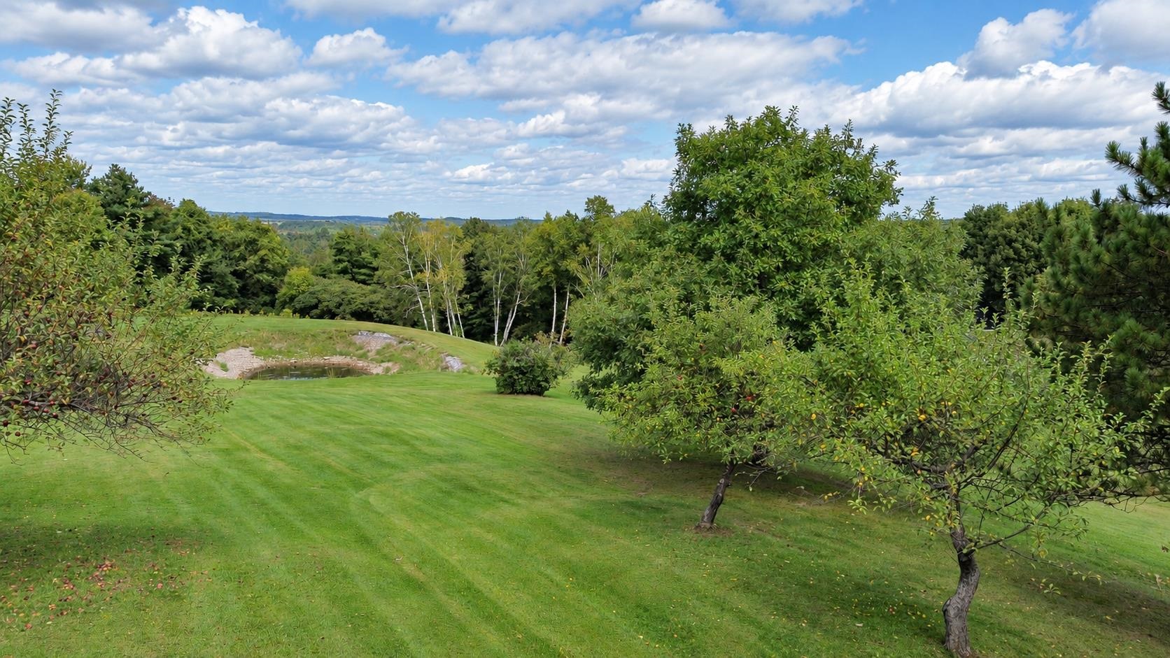 2367 Hollow Road photo 30
