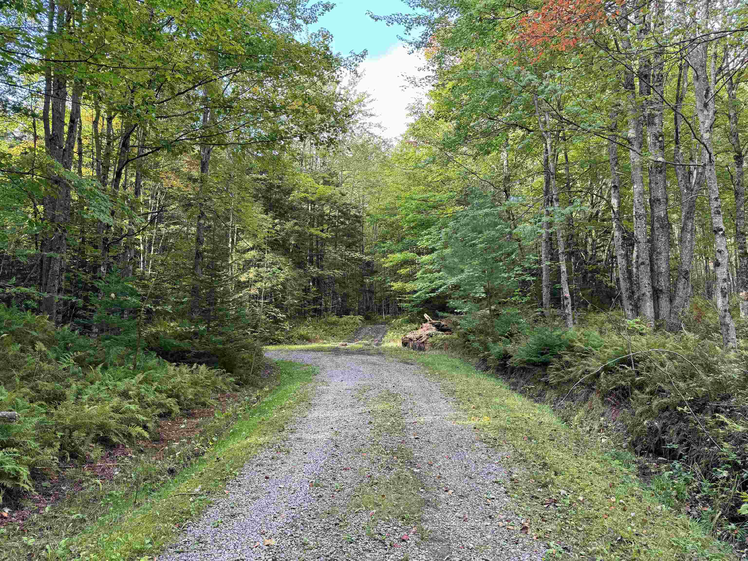  in Wolcott VT