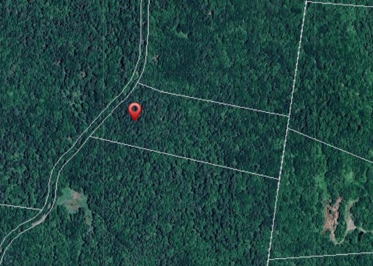 near 00 Norrie Davies Road Cavendish, VT 05153 Property 4