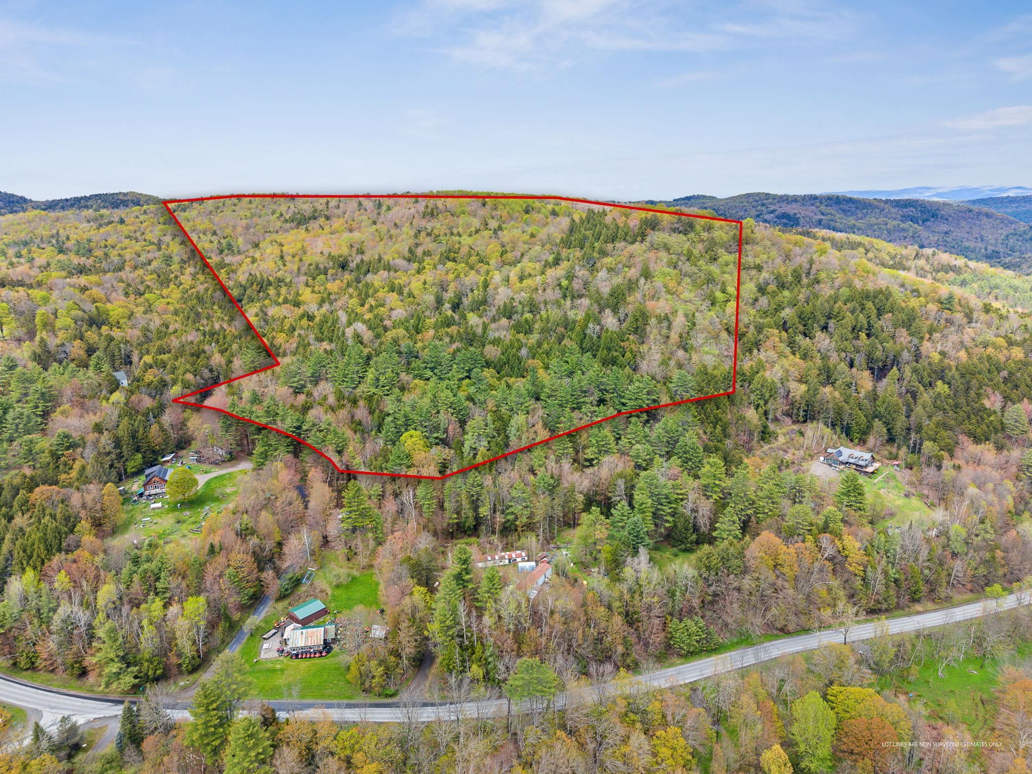 near Vulture Mountain Road Stockbridge, VT 05772 Property 2