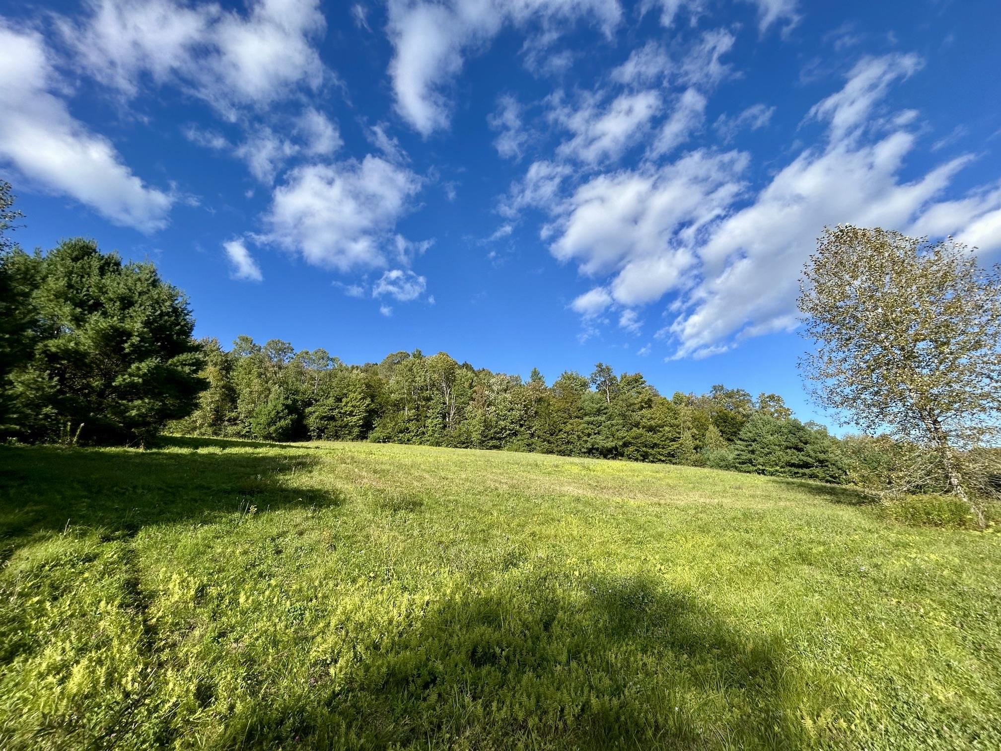 00 Skyview Lane photo 16