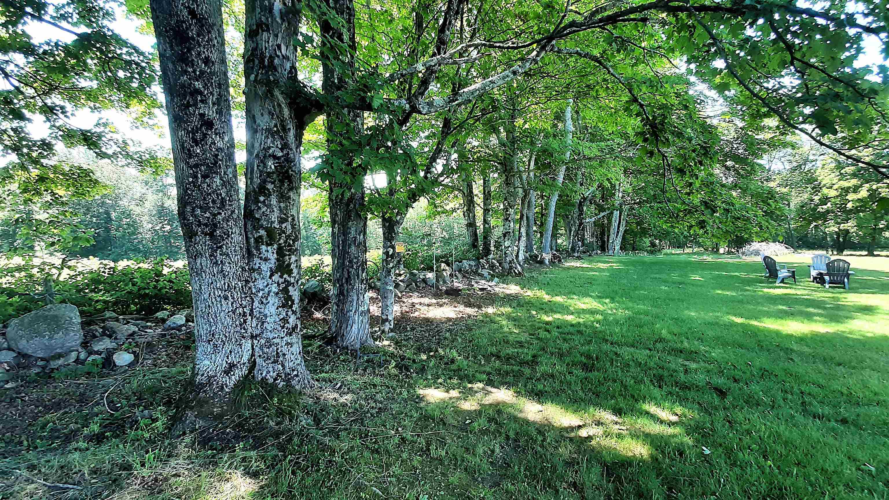 929 Packer Road photo 41