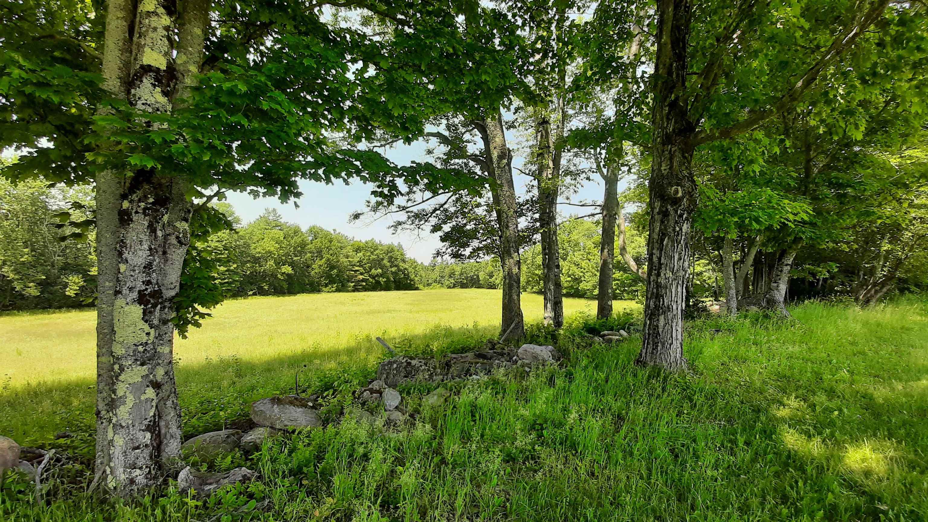 929 Packer Road photo 45