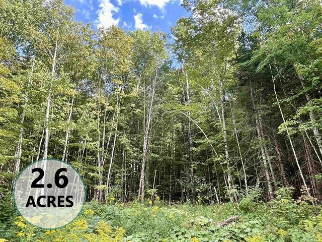 near 0 Lynburke Road Burke, VT 05871 Property 1