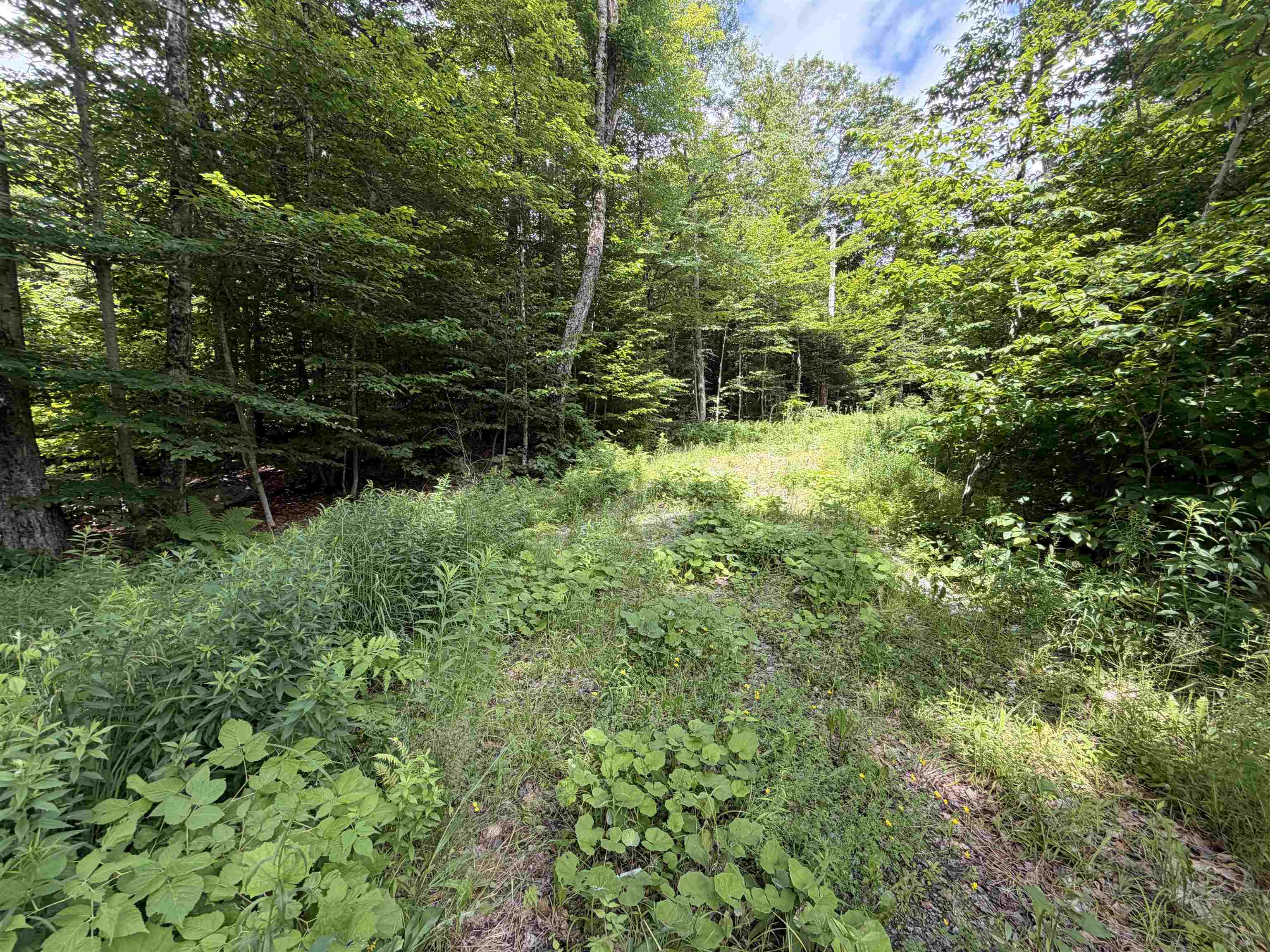 near LOT 3 158/160 High Peak Way Wilmington, VT 05363 Property 1