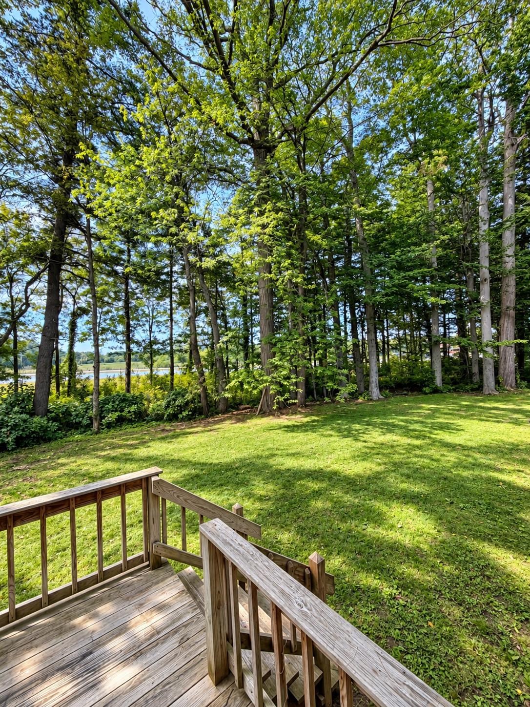 105 Oakwood Drive photo 14