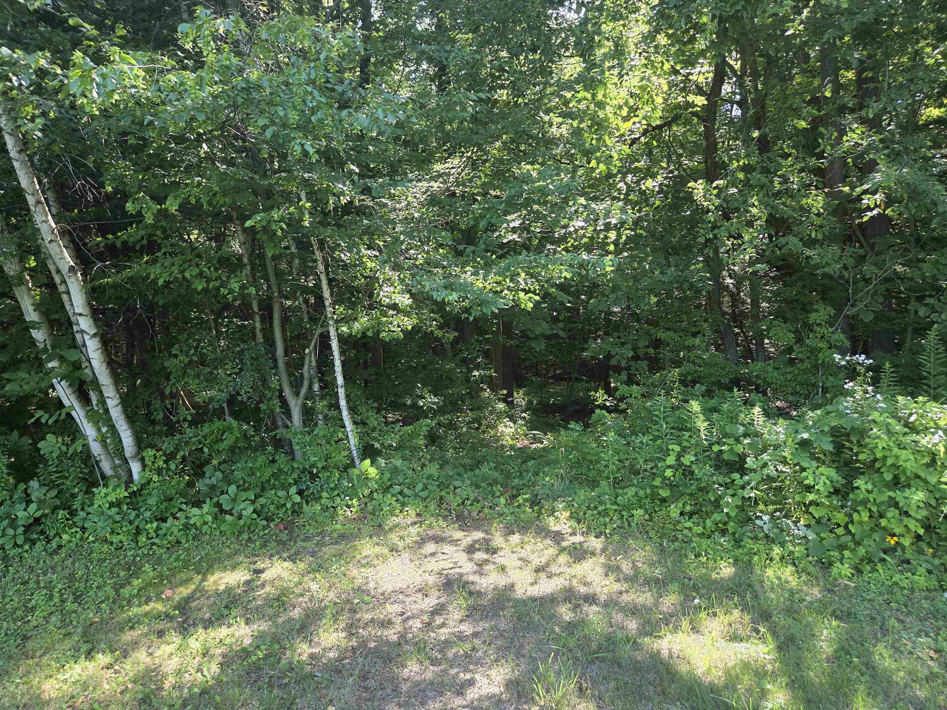 00 Basin Harbor Road photo 4