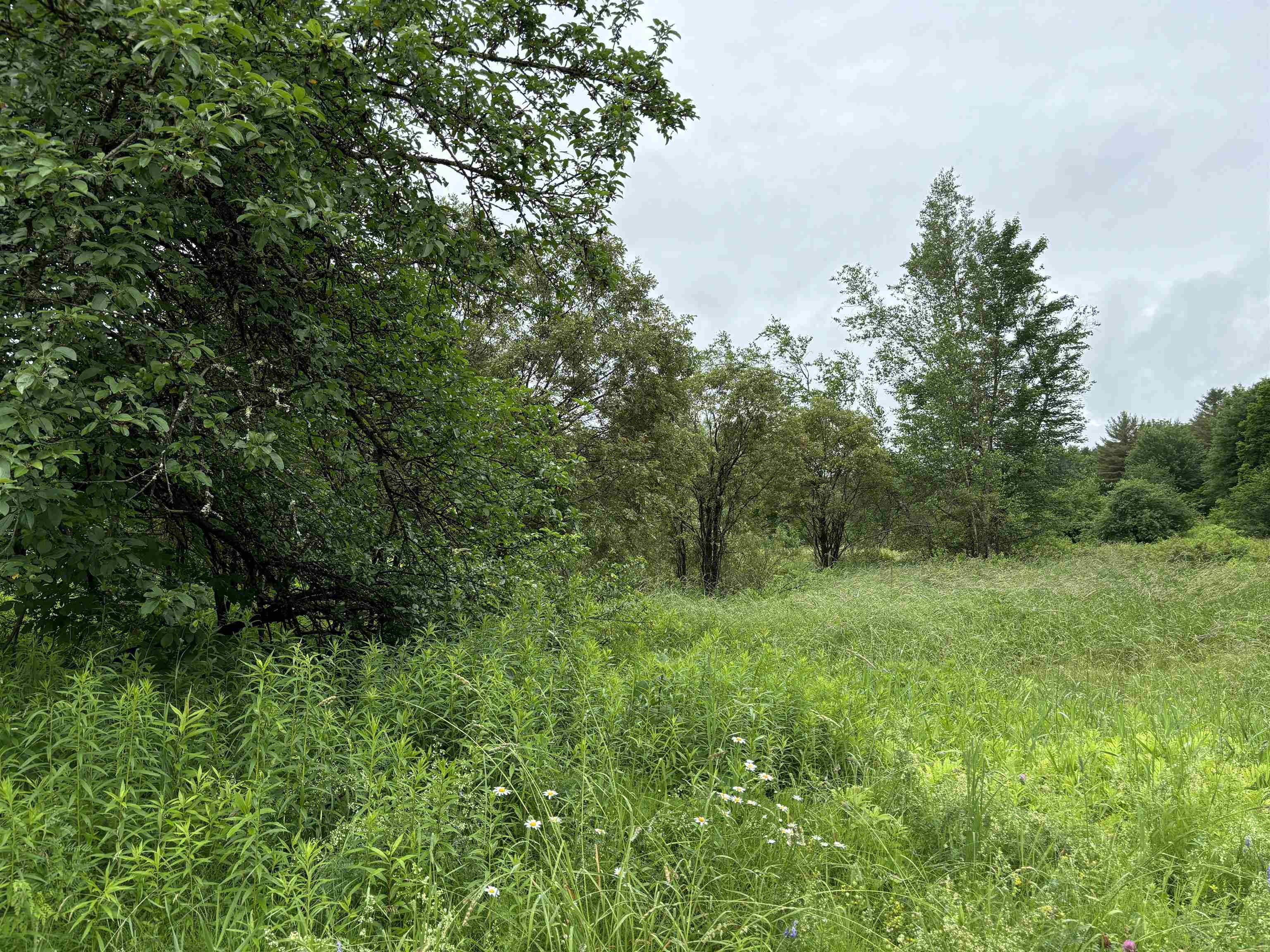 near 0 Clay Hill Road Johnson, VT 05656 Property 2