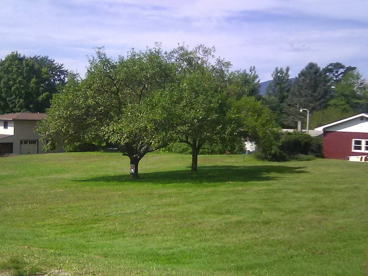 near C2 Collins Hill Johnson, VT 05661 Property 2