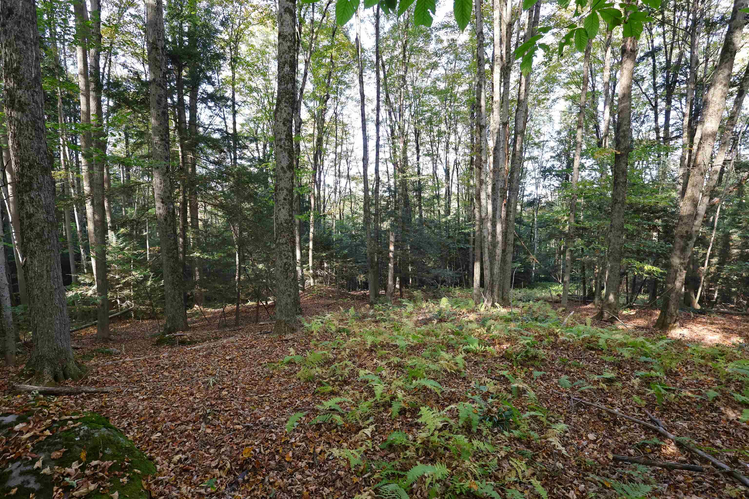 near Va Cutoff Road Hartford, VT 05047 Property 2 near Va Cutoff Road Hartford, VT 05047 Property 2