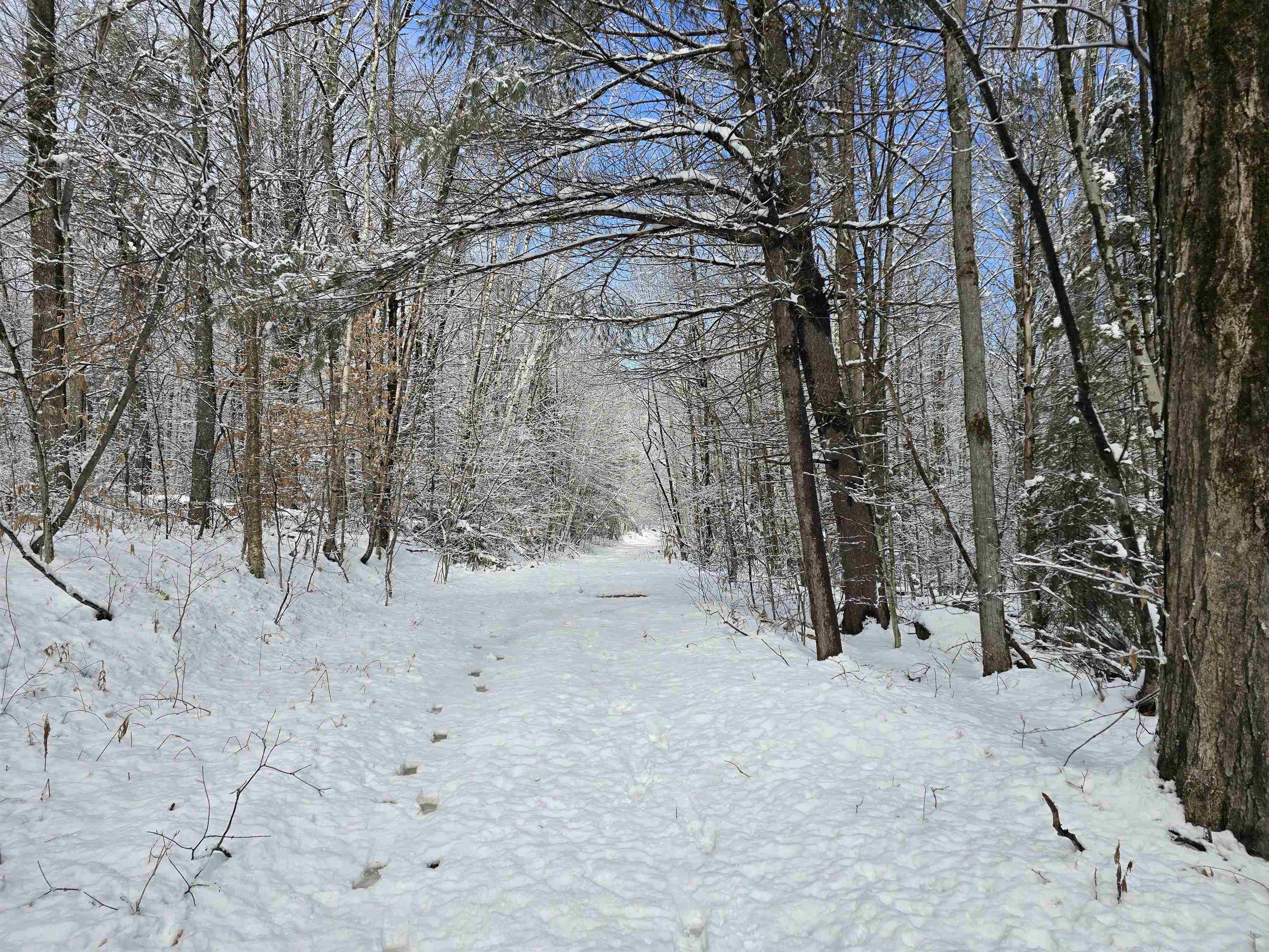 near 0 White Oaks Road Pownal, VT 05261 Property 2