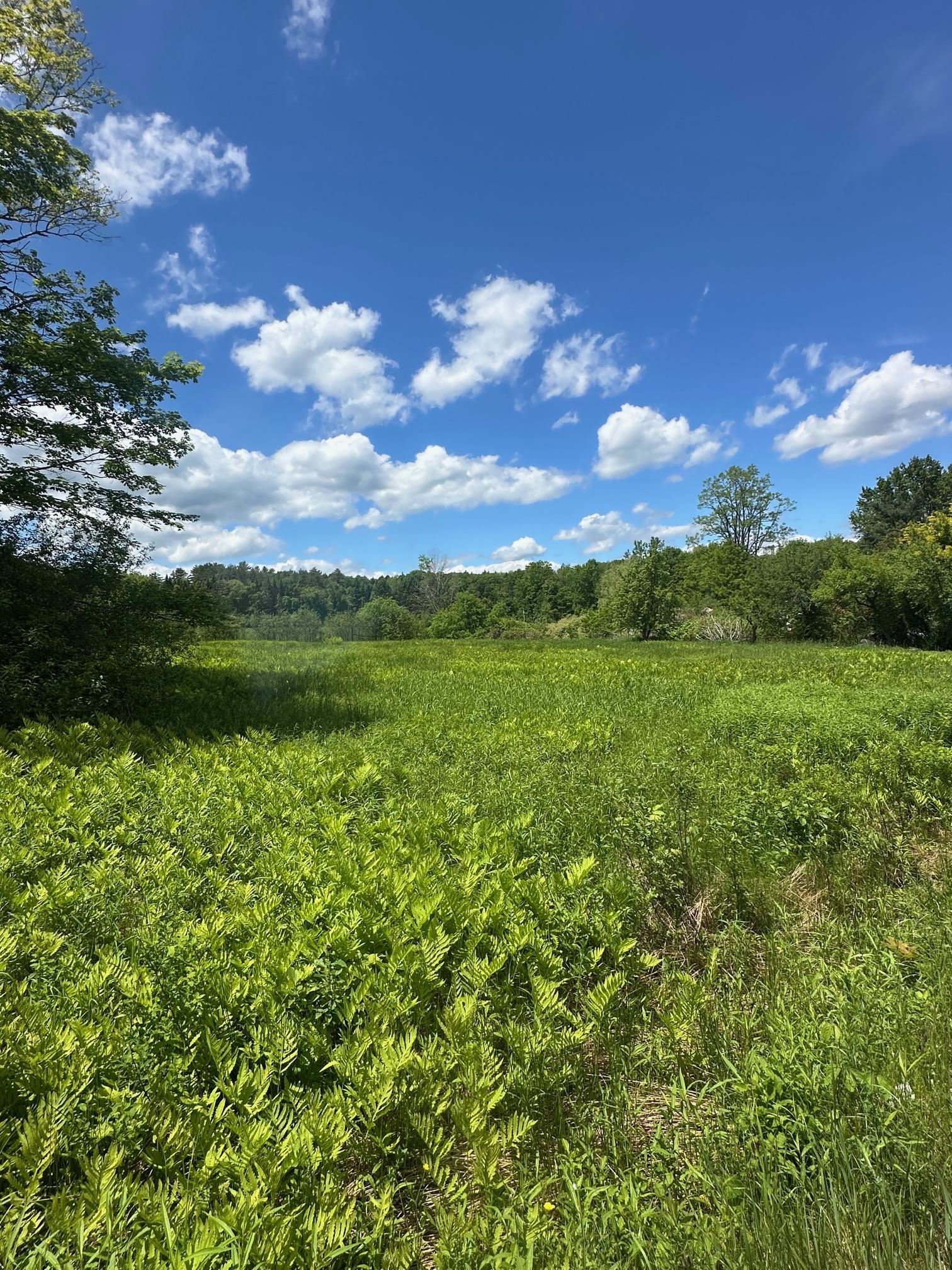near 41 Old Depot Road Putney, VT 05346 Property 2