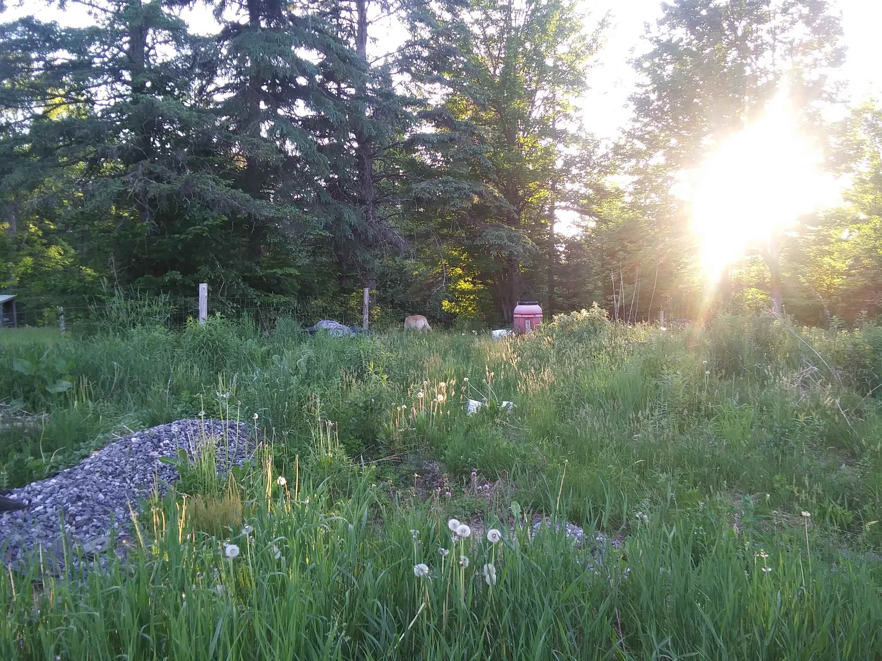 399 Dunbar Road photo 15