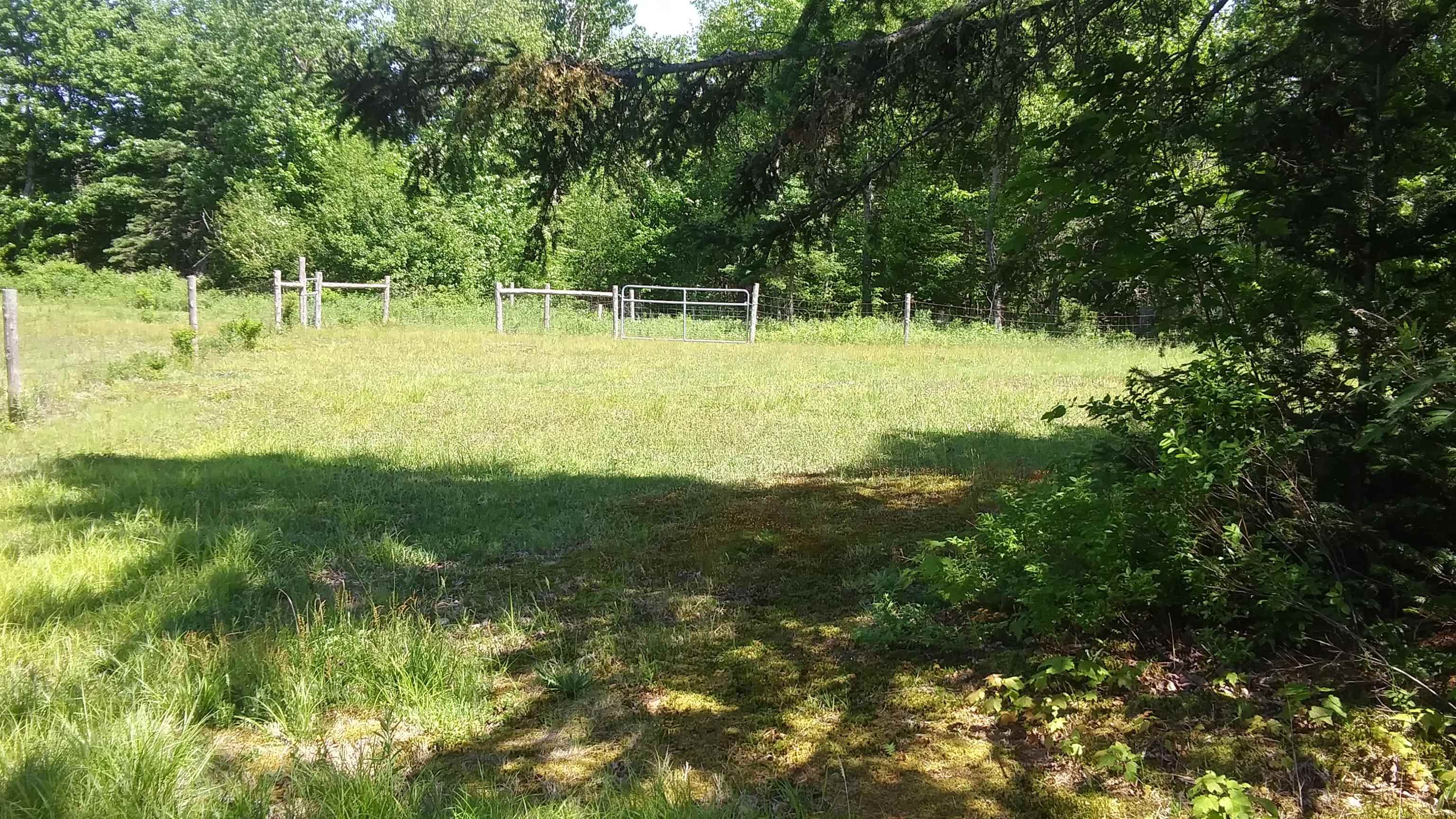 399 Dunbar Road photo 30