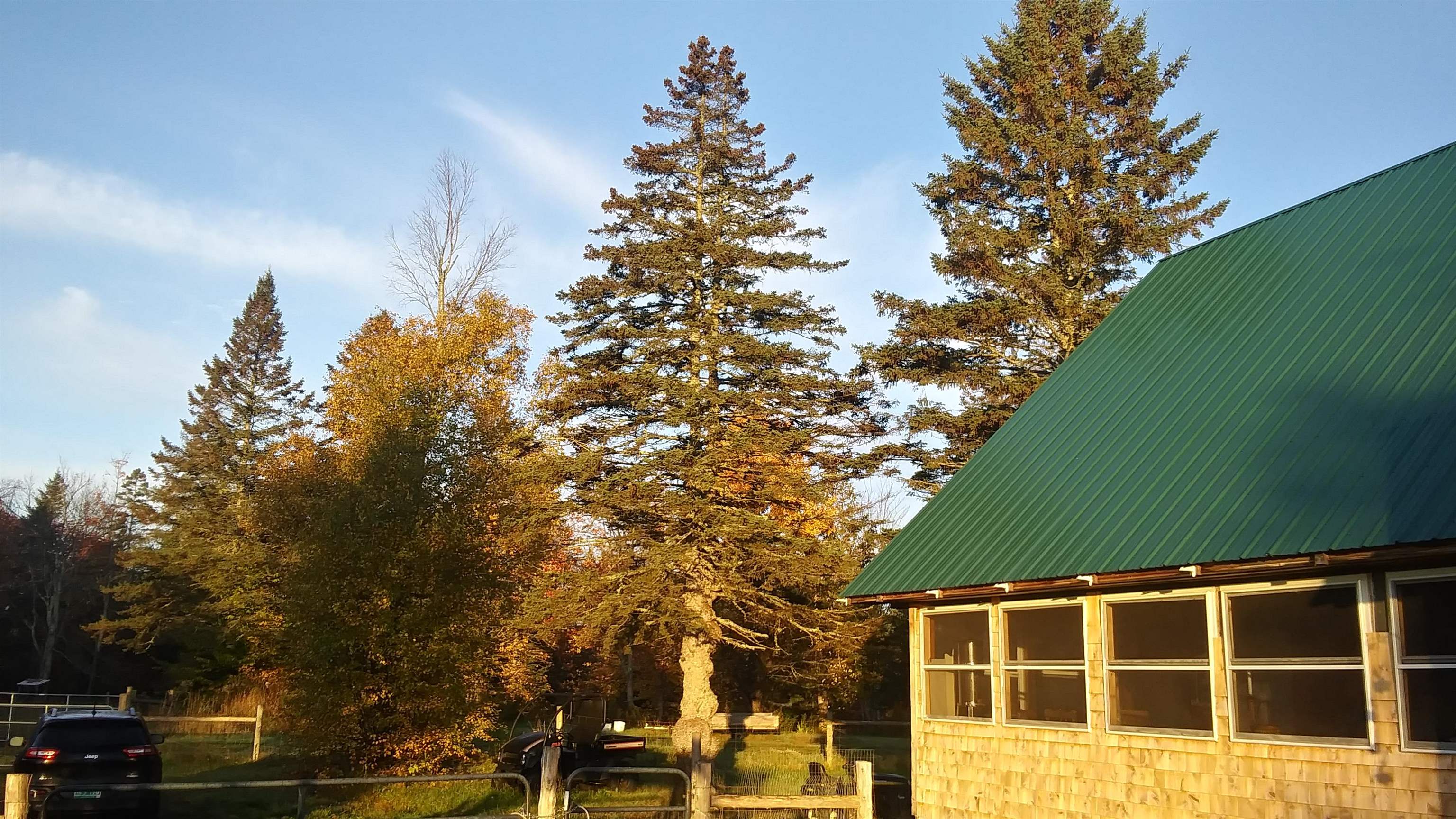 399 Dunbar Road photo 37