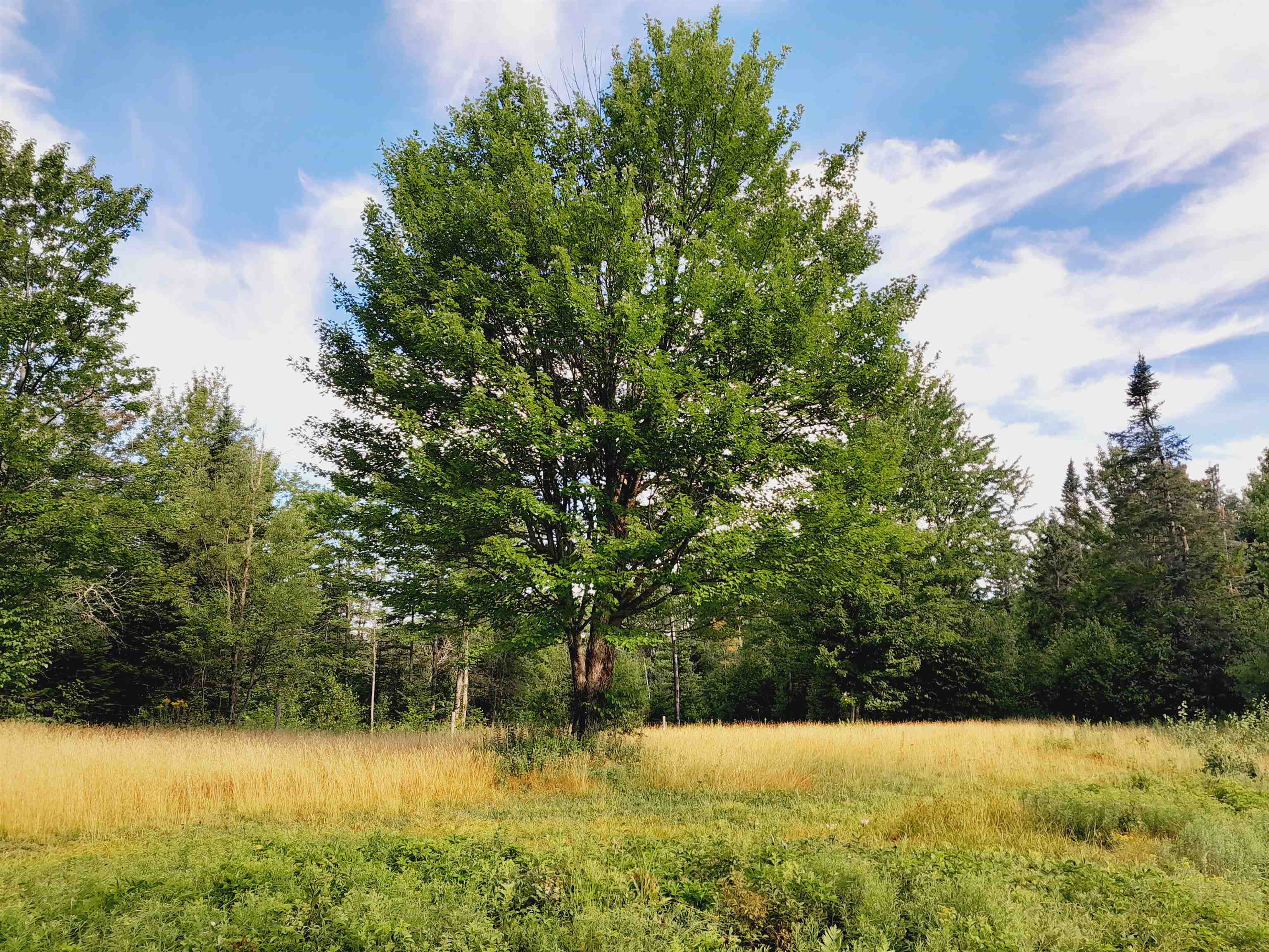 399 Dunbar Road photo 40