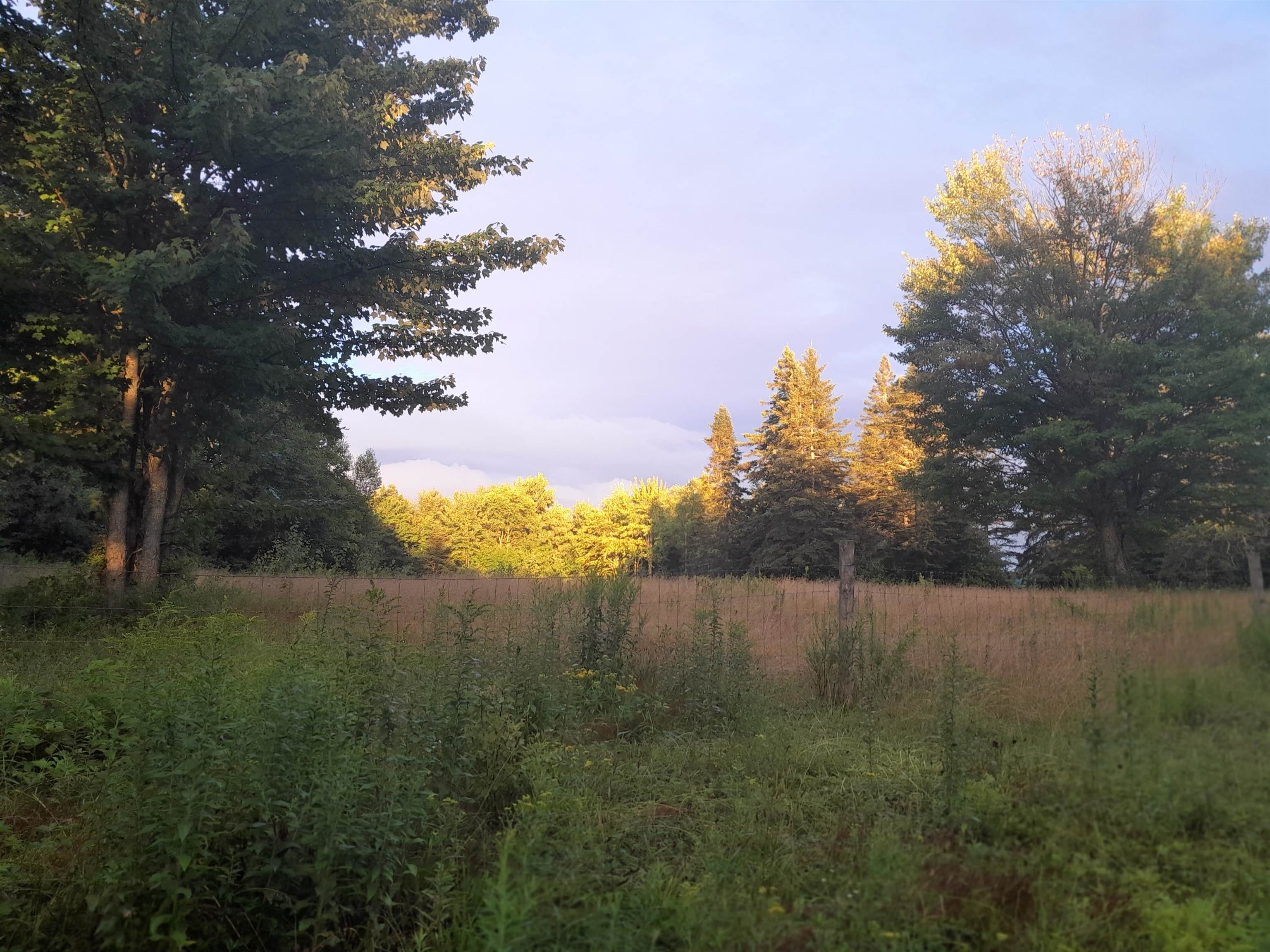 399 Dunbar Road photo 42