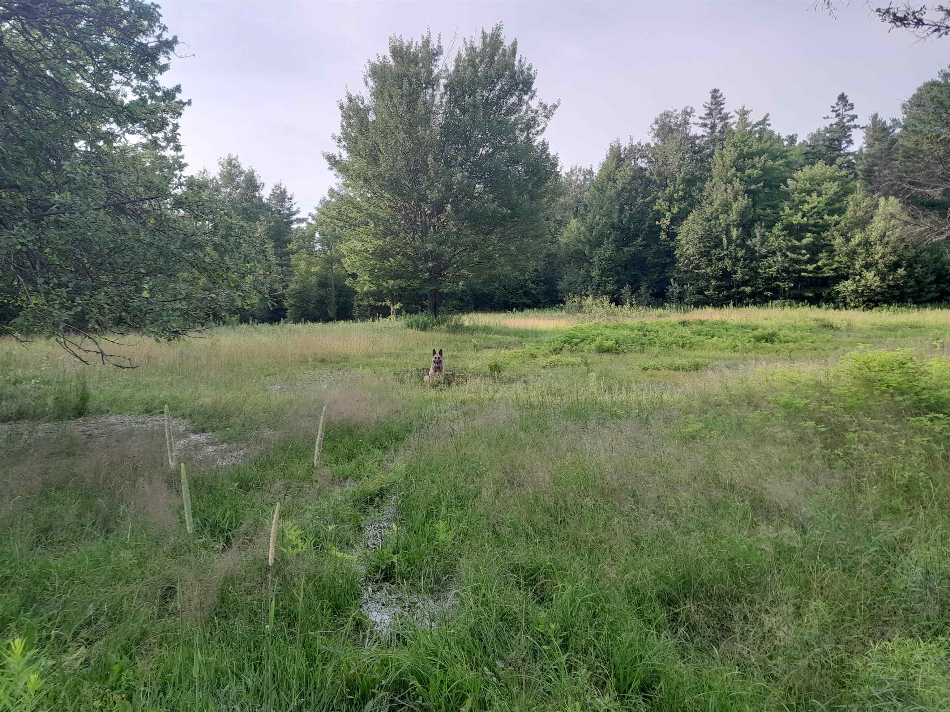 399 Dunbar Road photo 48