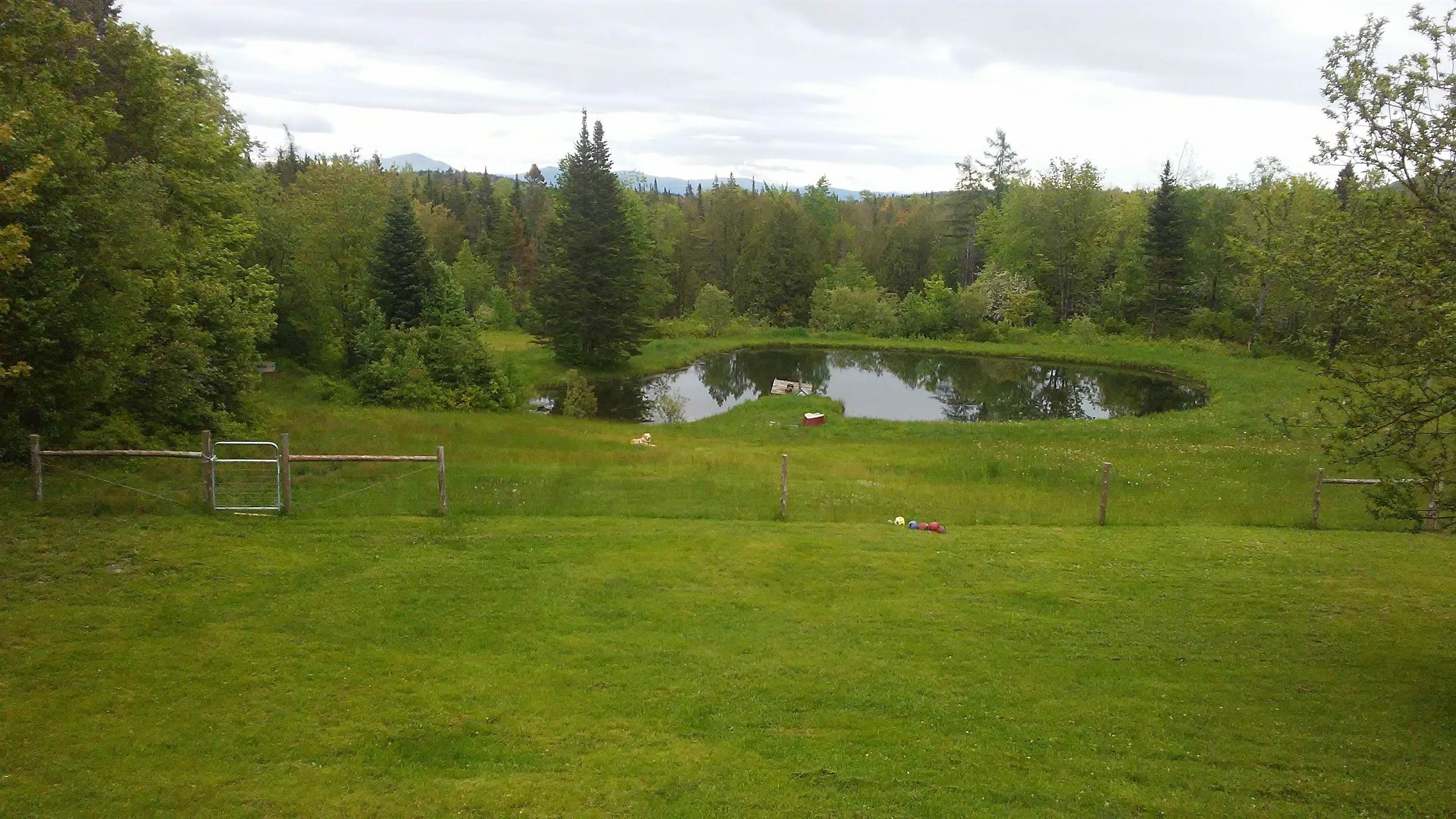 399 Dunbar Road photo 5