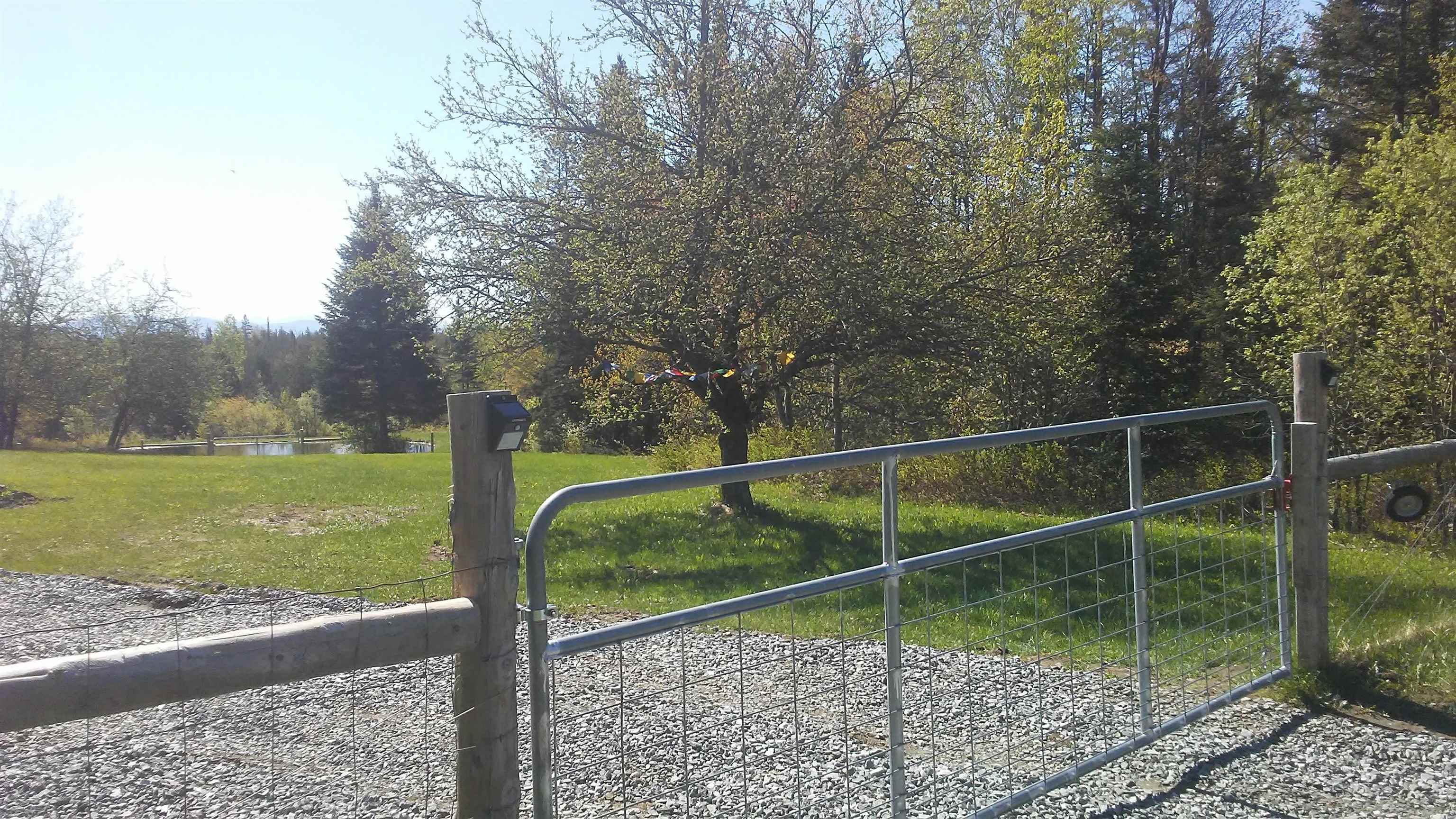 399 Dunbar Road photo 6