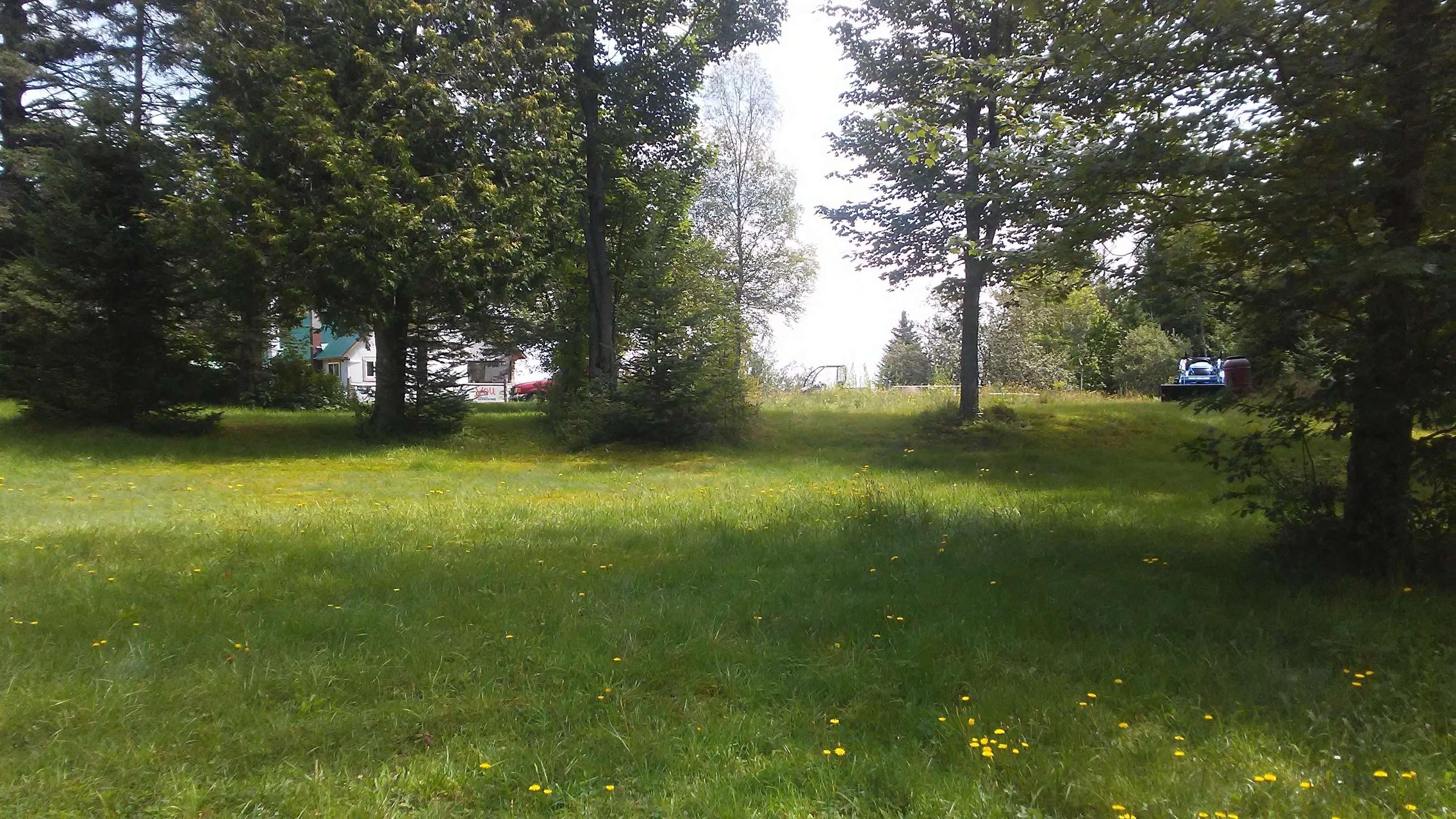 399 Dunbar Road photo 8