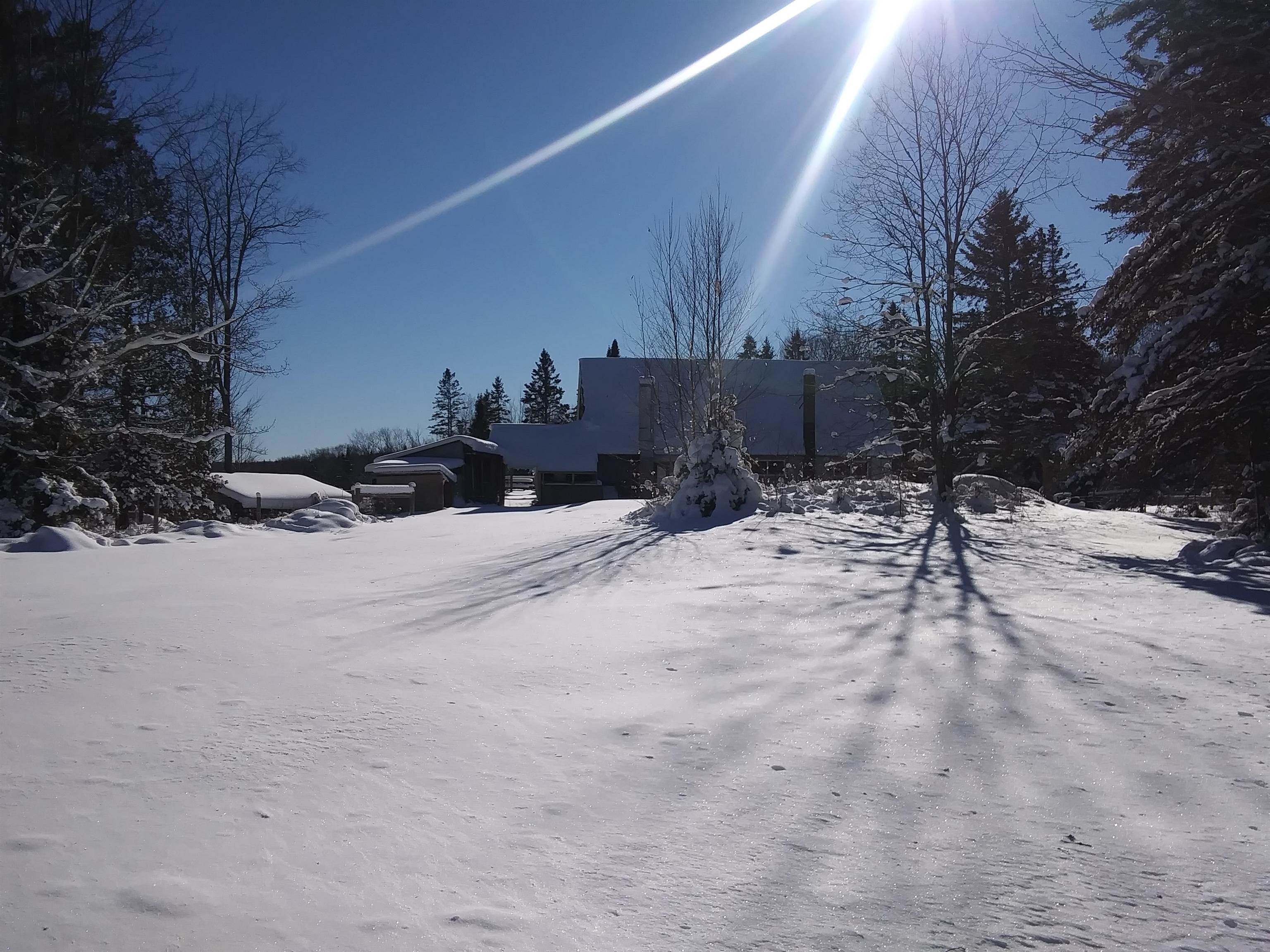 399 Dunbar Road photo 9