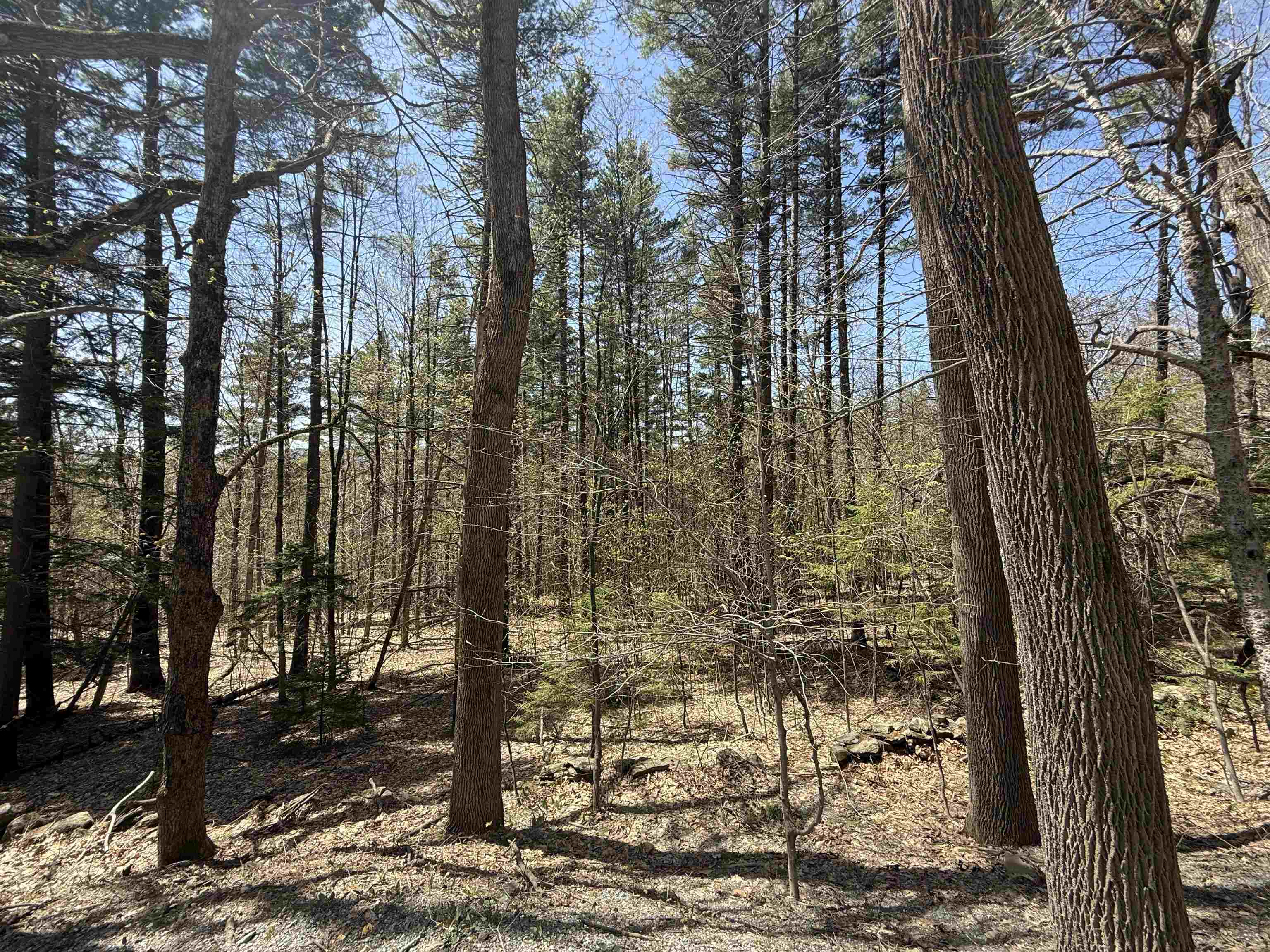 near 0 Boardman Loop Wardsboro, VT 05360 Property 3