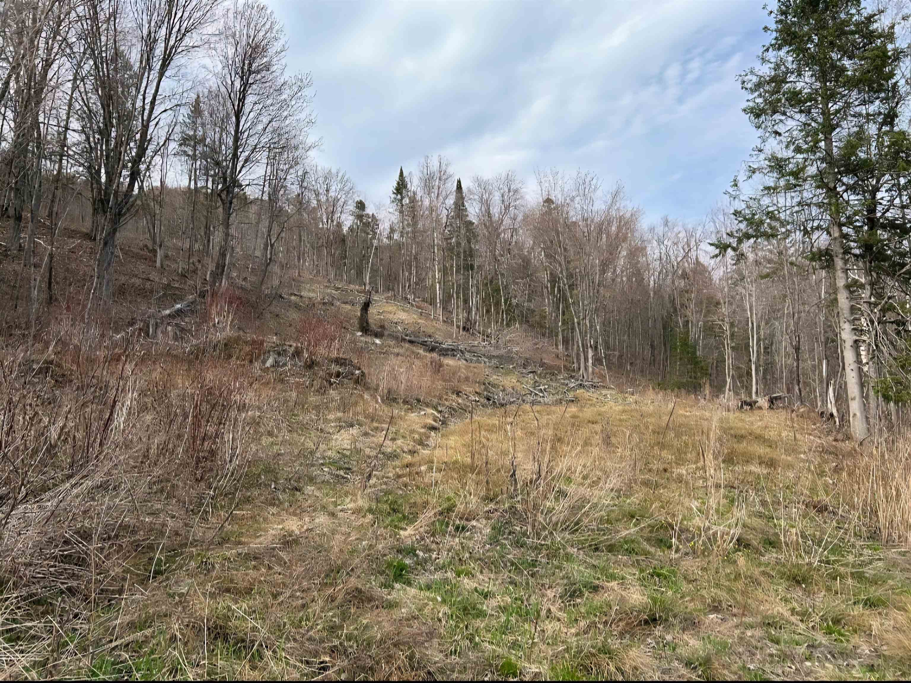 near Hudson Road Canaan, VT 05903 Property 3