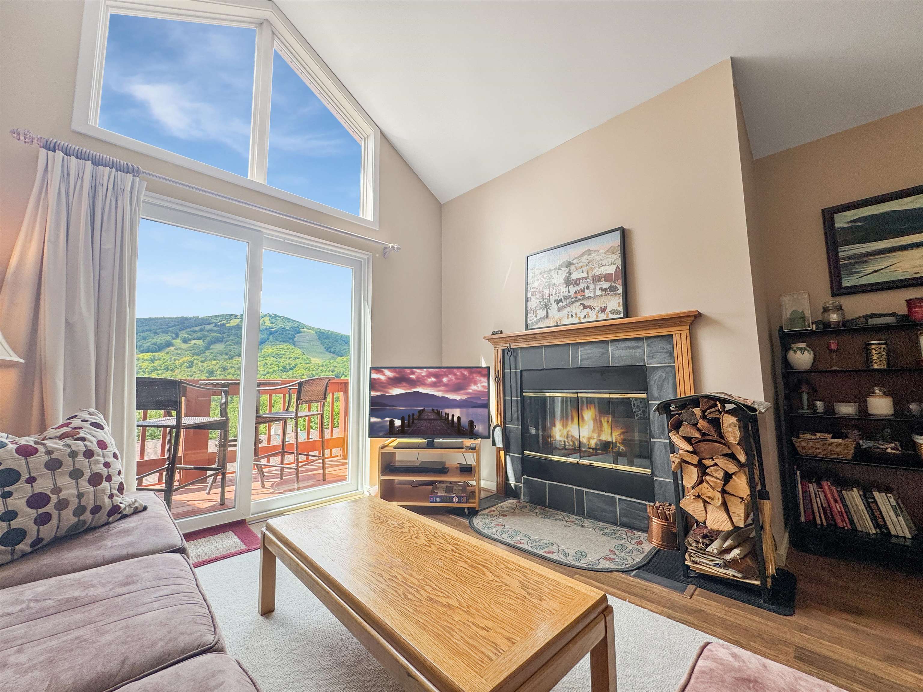 17F Mountain Village photo 12