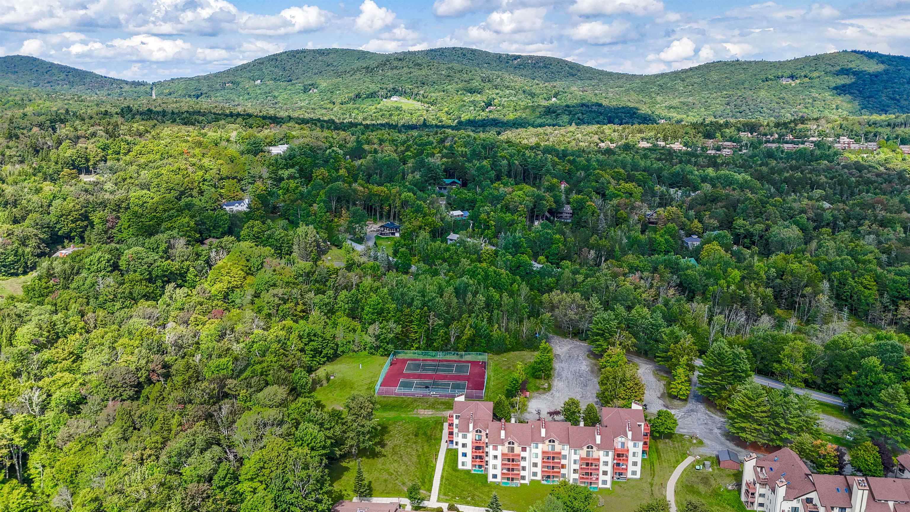 17F Mountain Village photo 14