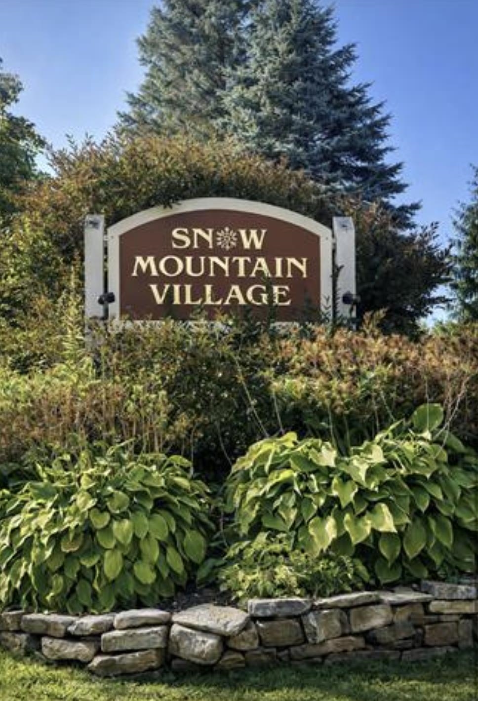 17F Mountain Village photo 19