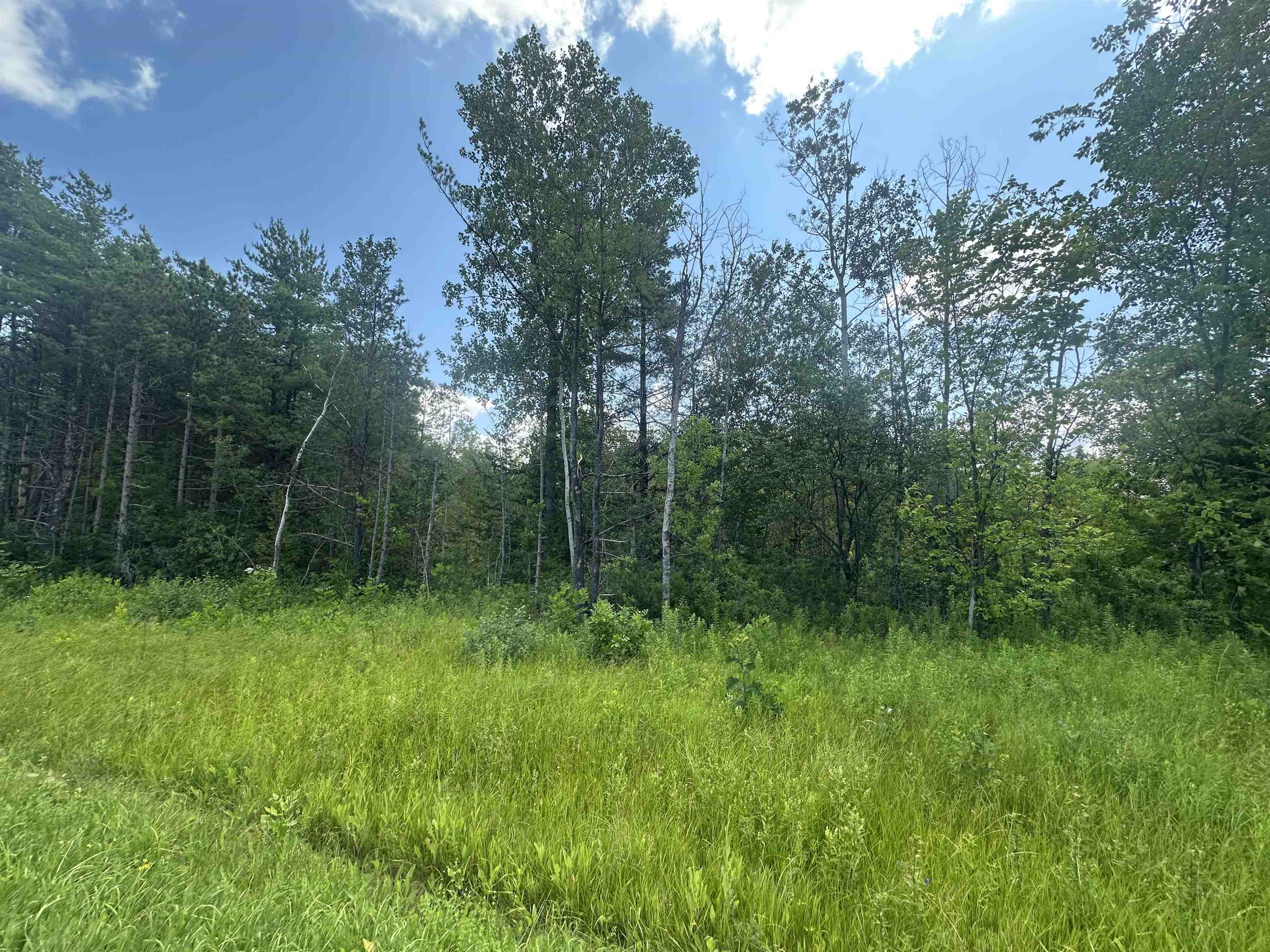 86 Dakin Road photo 2