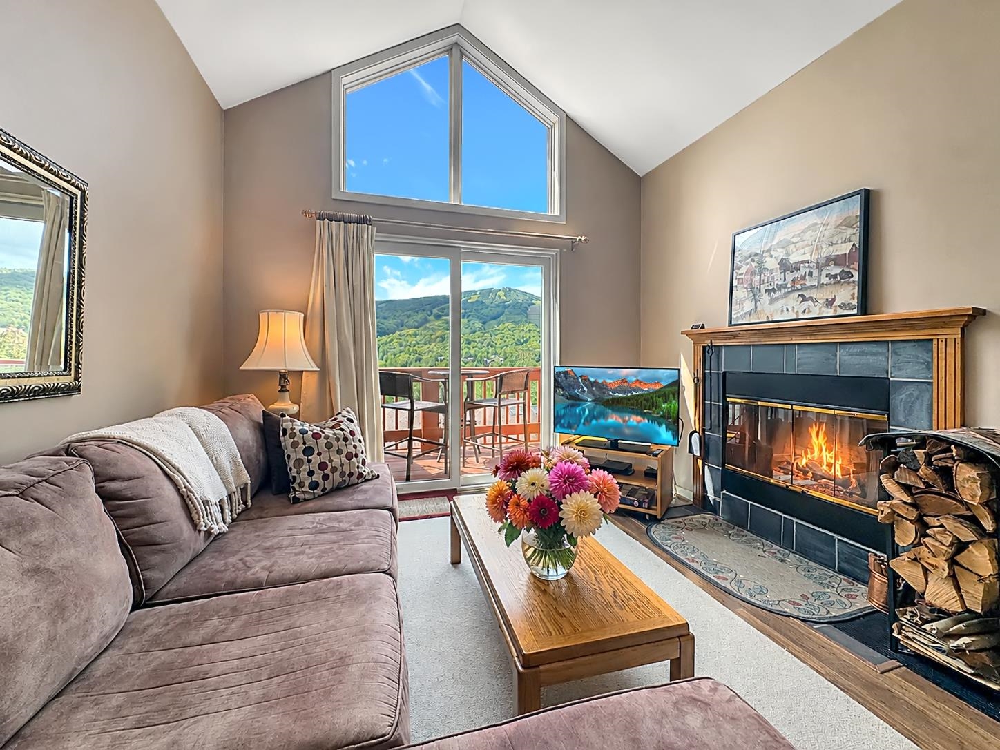 17F Mountain Village photo 3