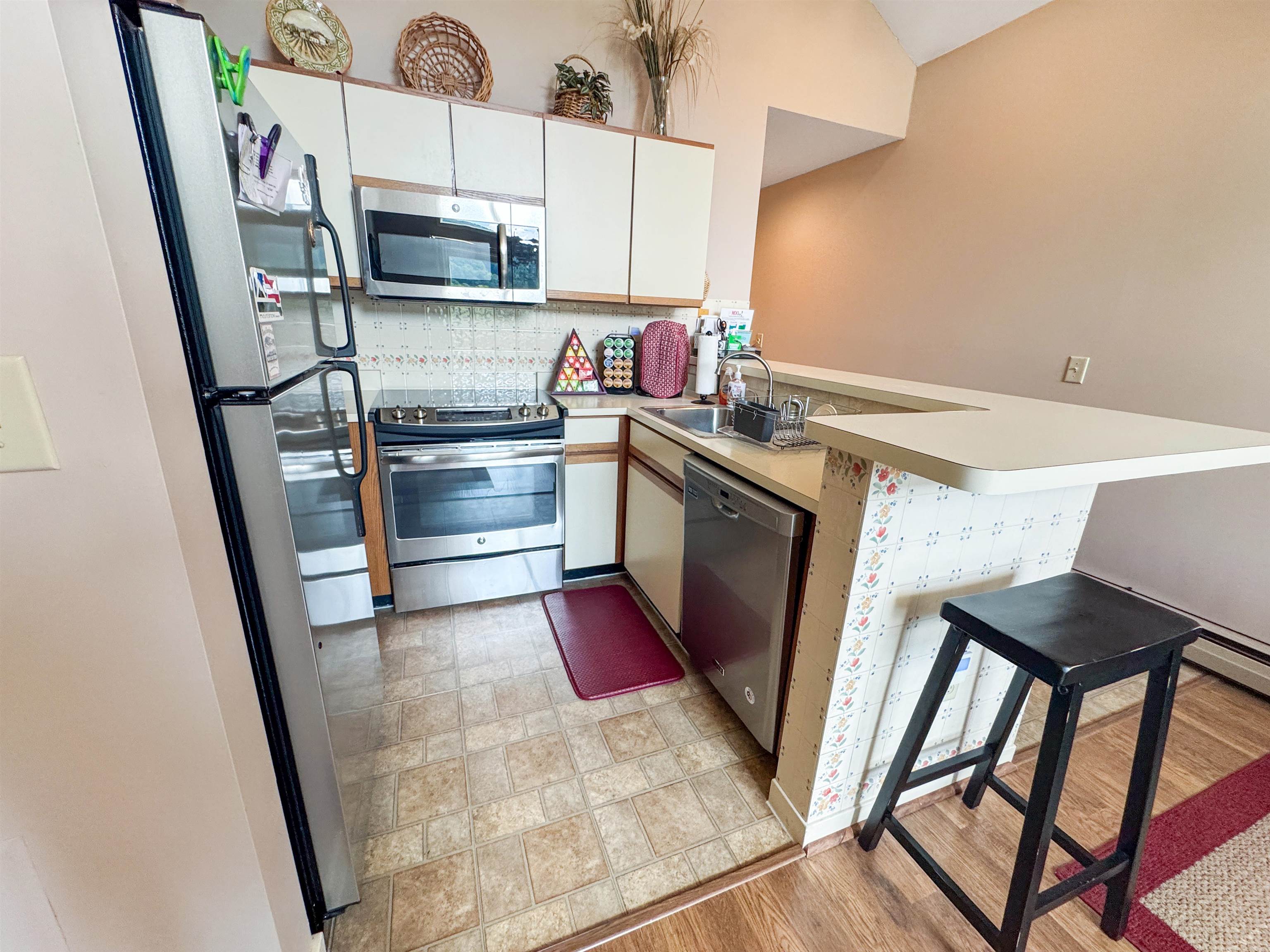 17F Mountain Village photo 4