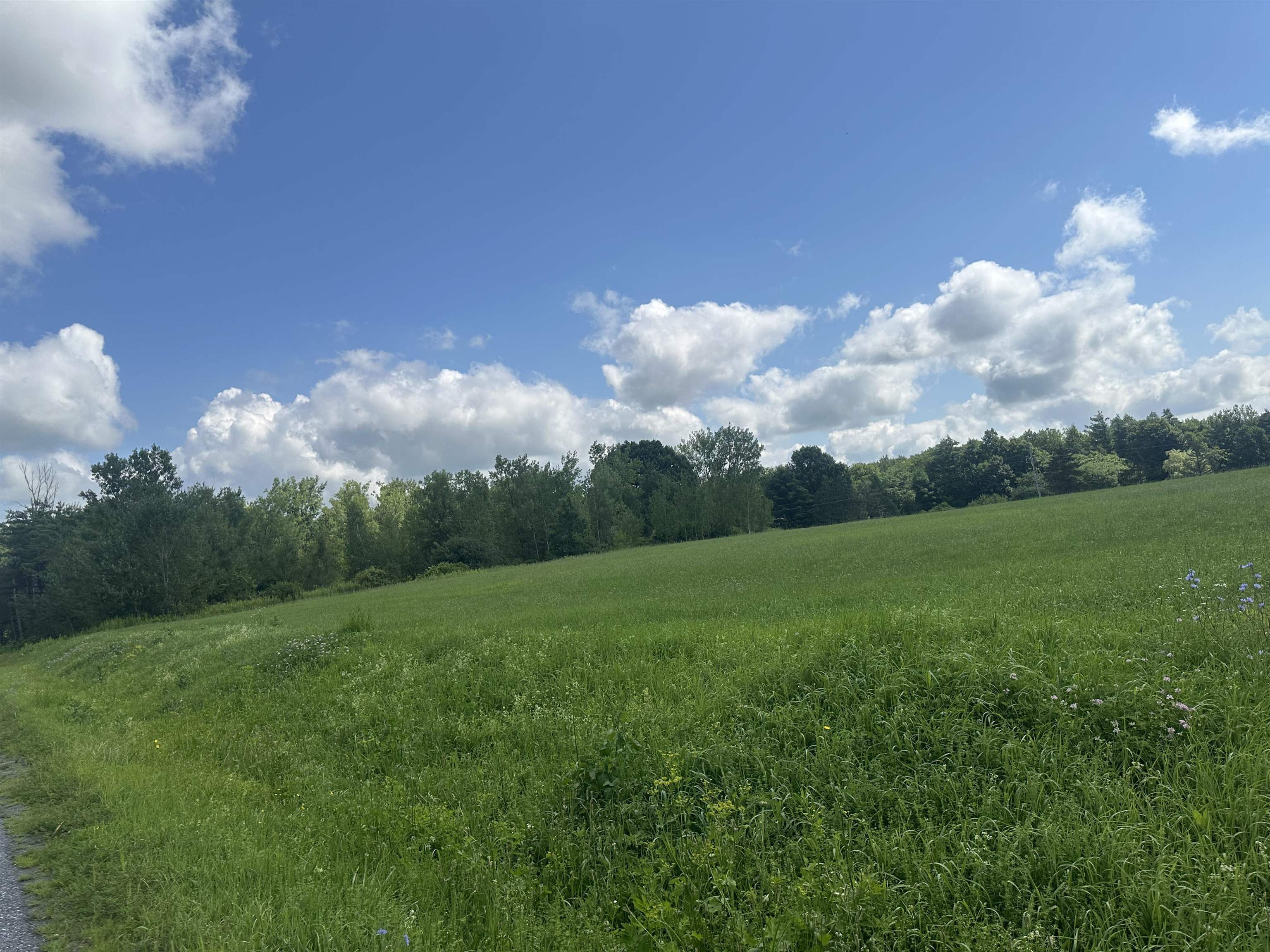 86 Dakin Road photo 4