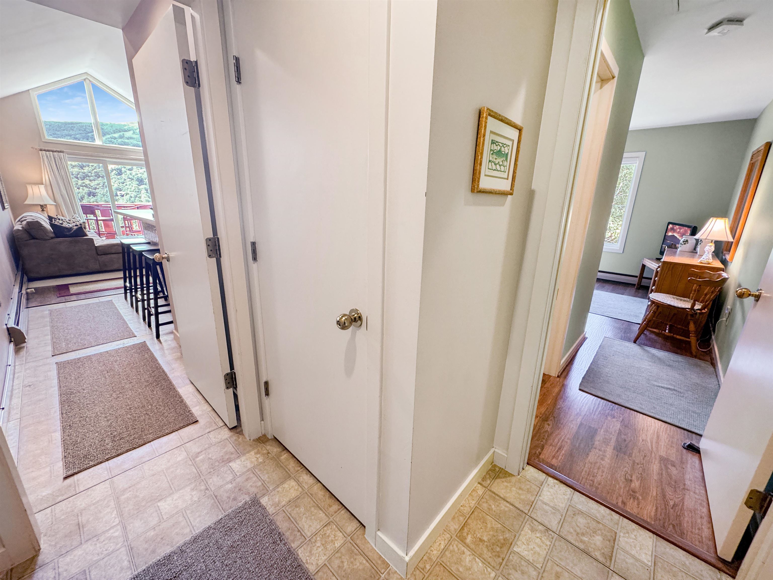17F Mountain Village photo 9
