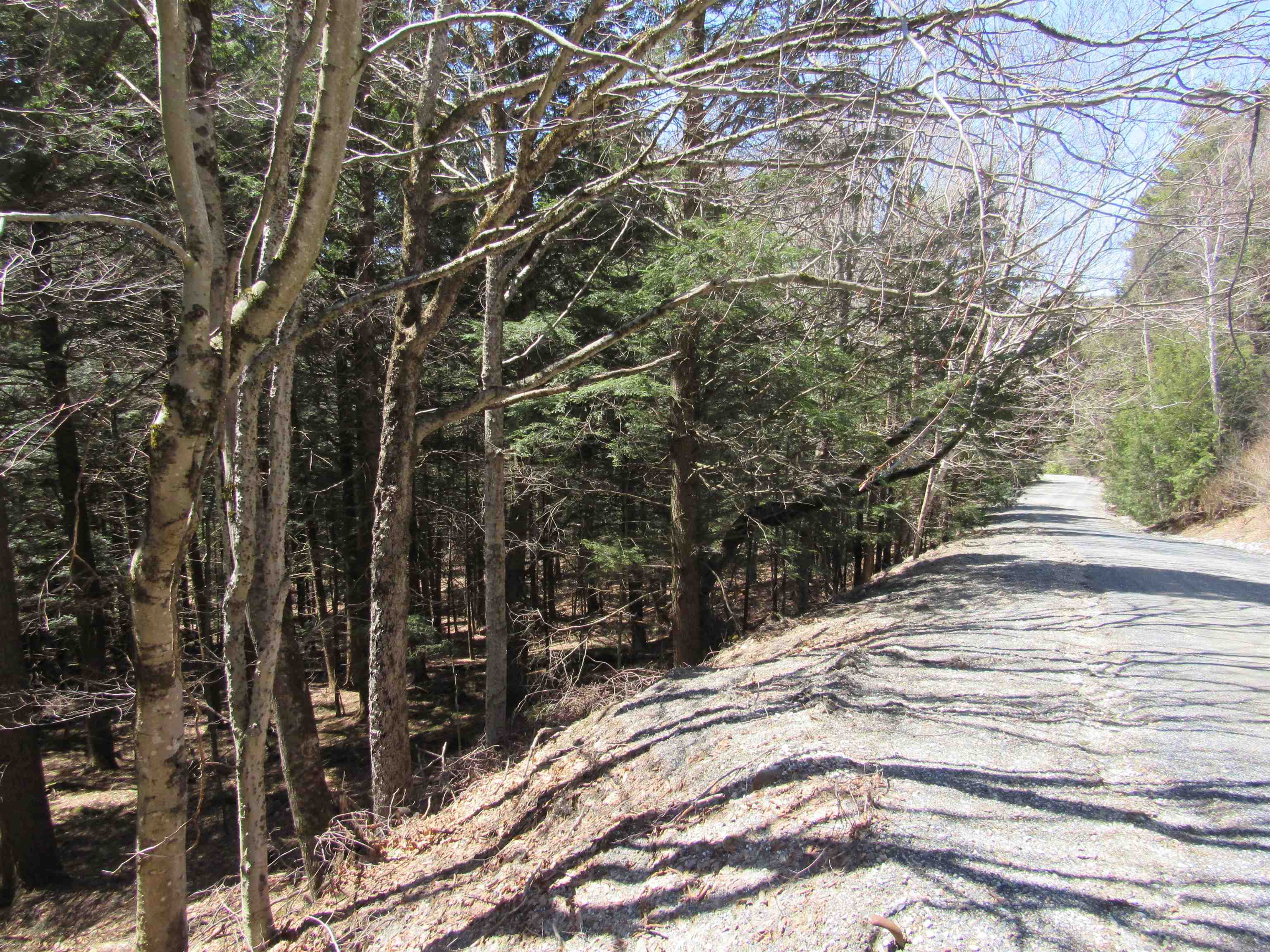 near Lot 3 Route 11/30 Winhall, VT 05340 Property 2