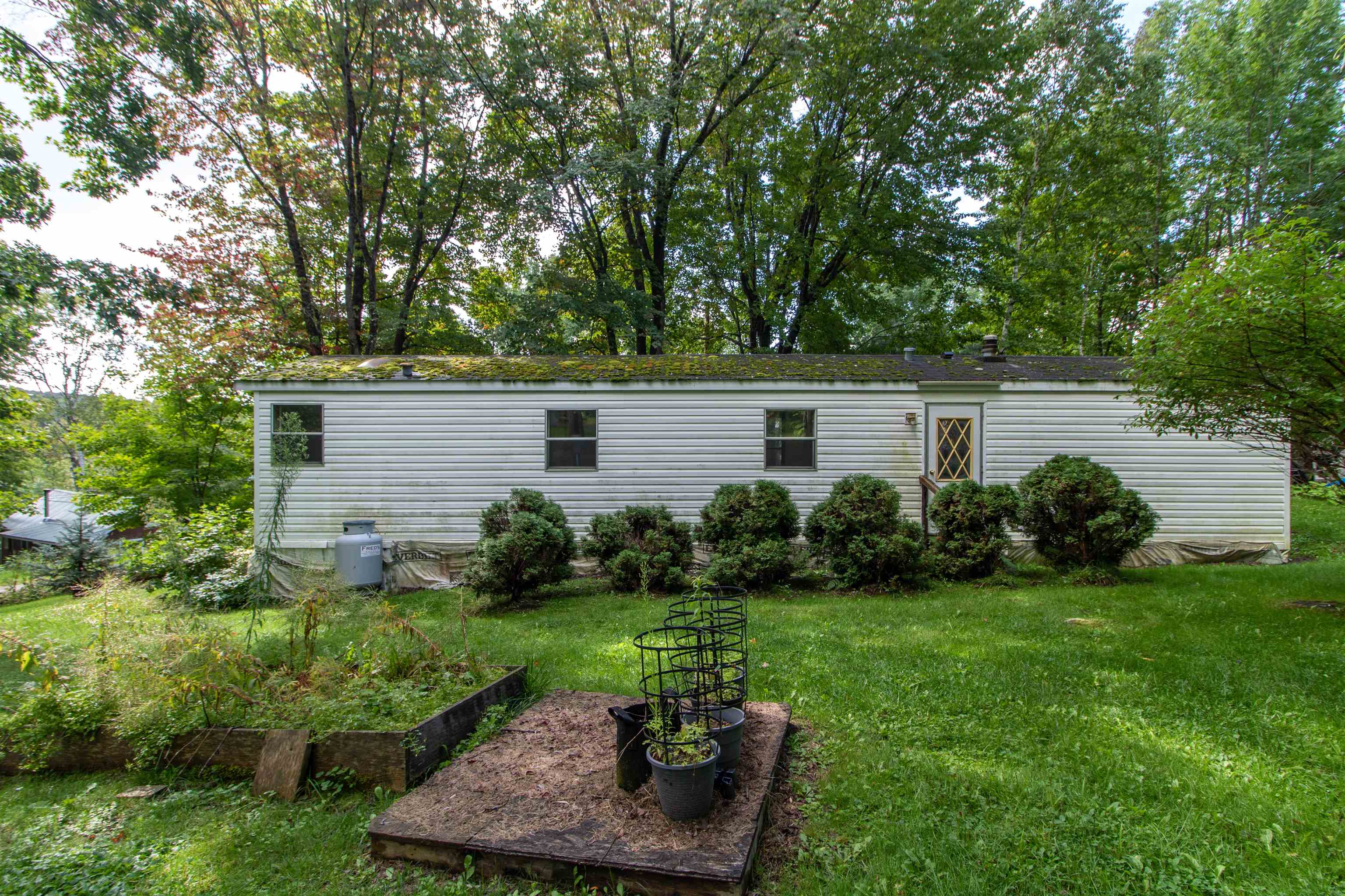 62 Maple Tree Lane photo 18