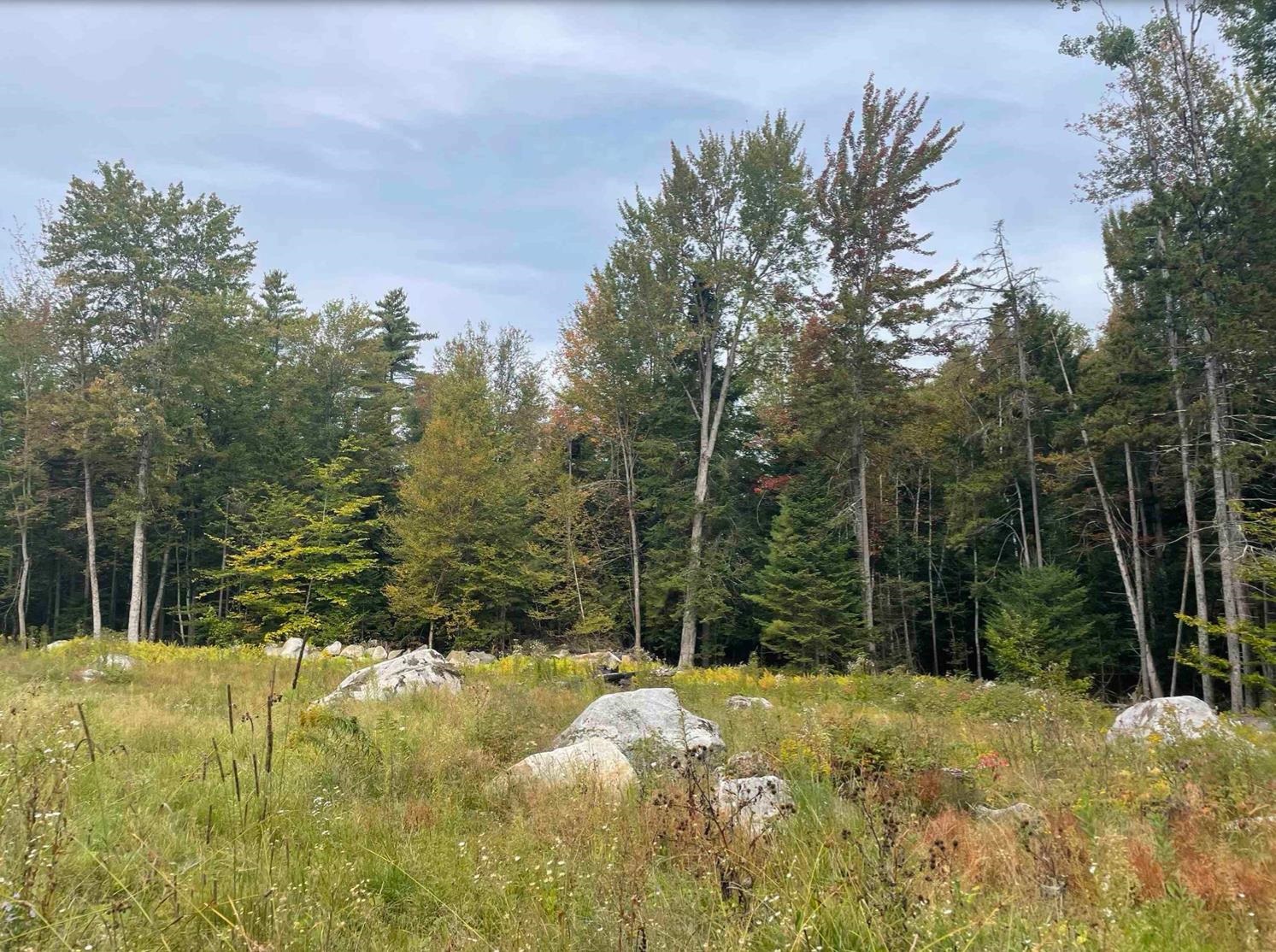 130 Stevens Road photo 20