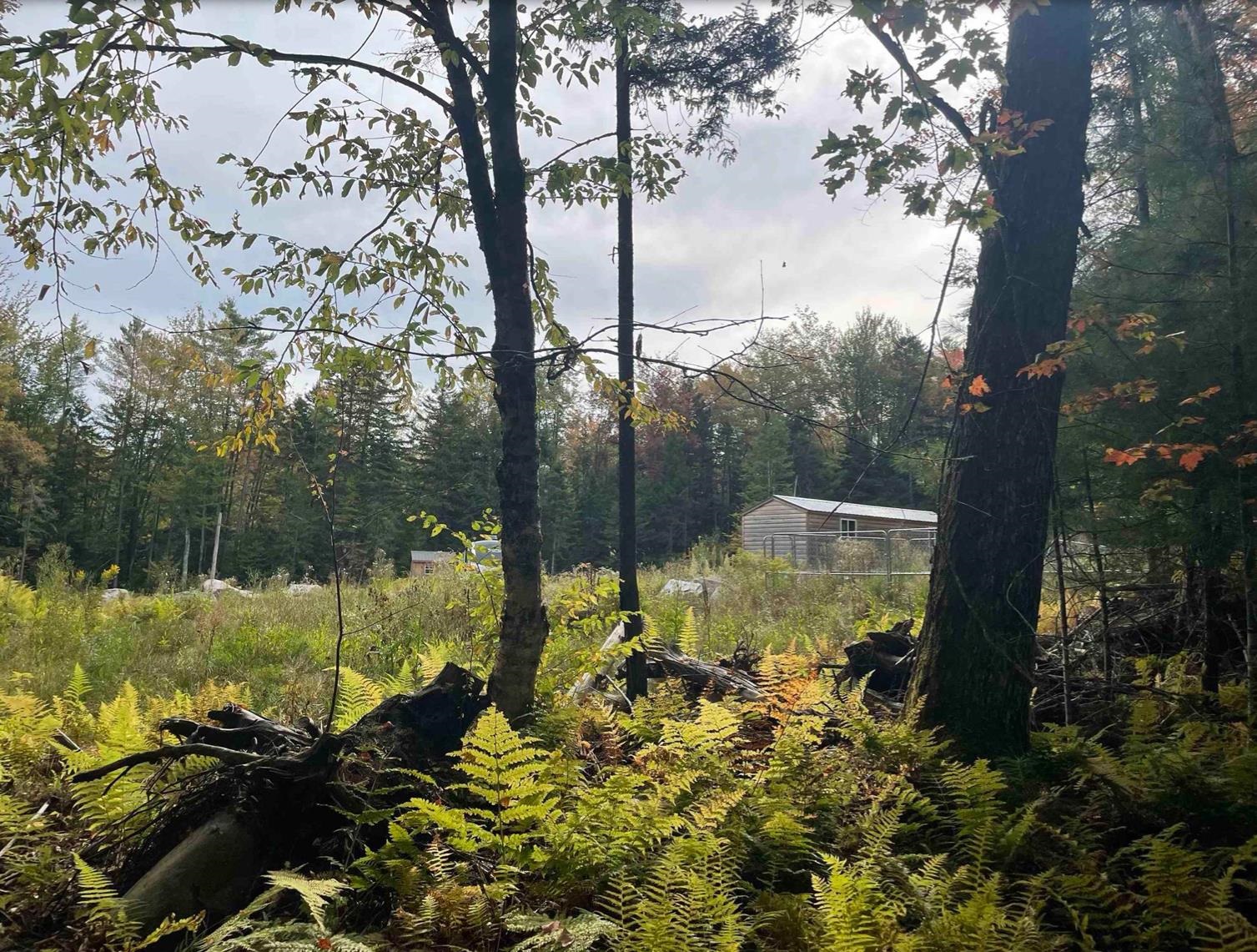 130 Stevens Road photo 24