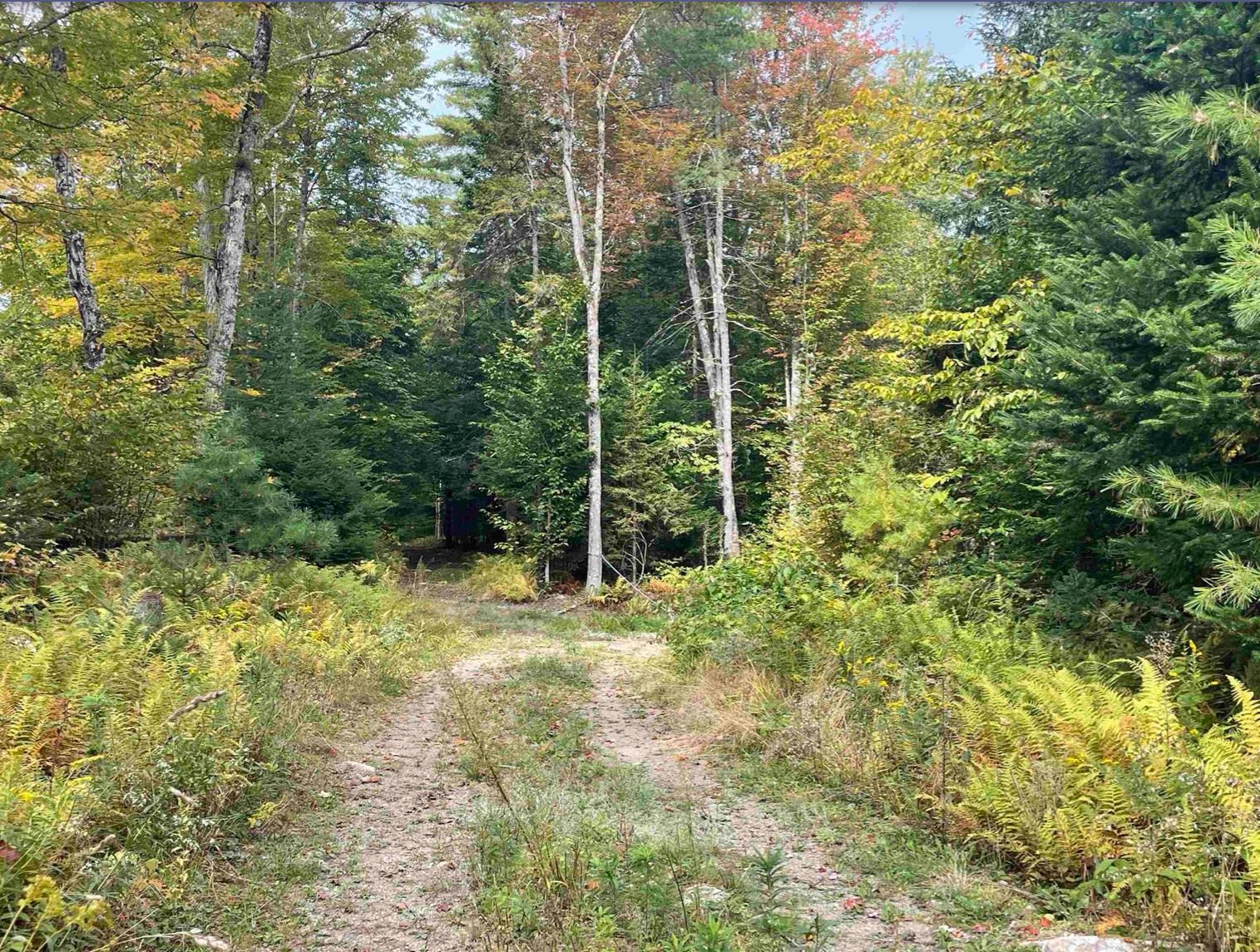 130 Stevens Road photo 25