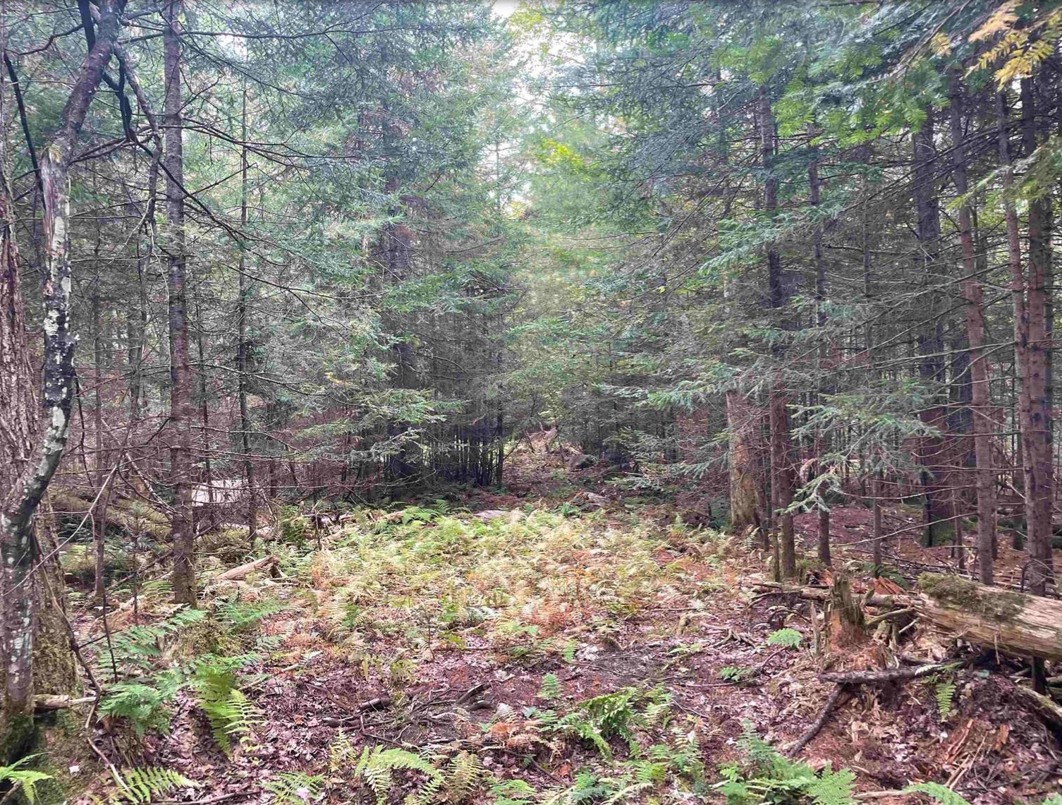 130 Stevens Road photo 26
