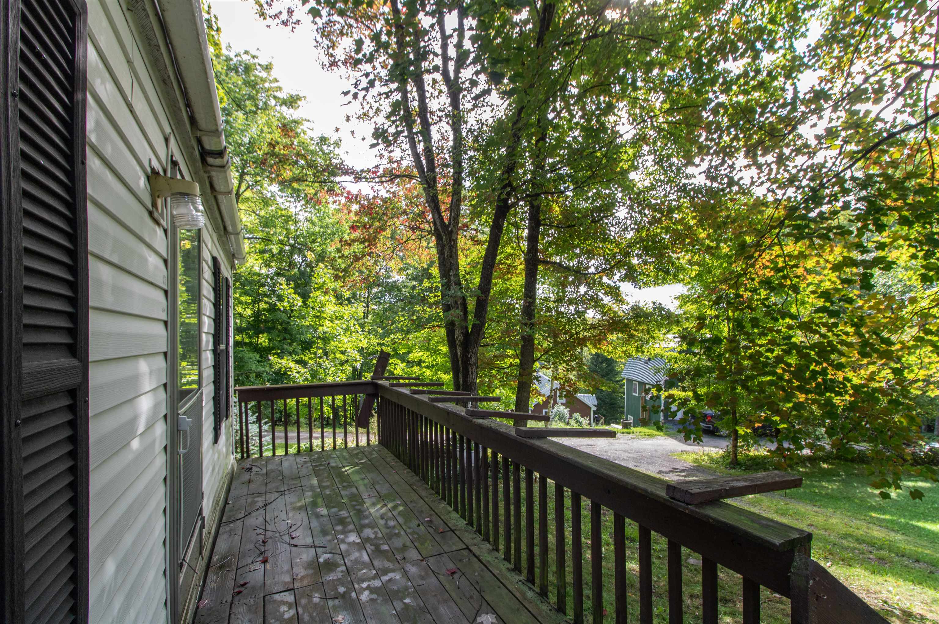 62 Maple Tree Lane photo 3