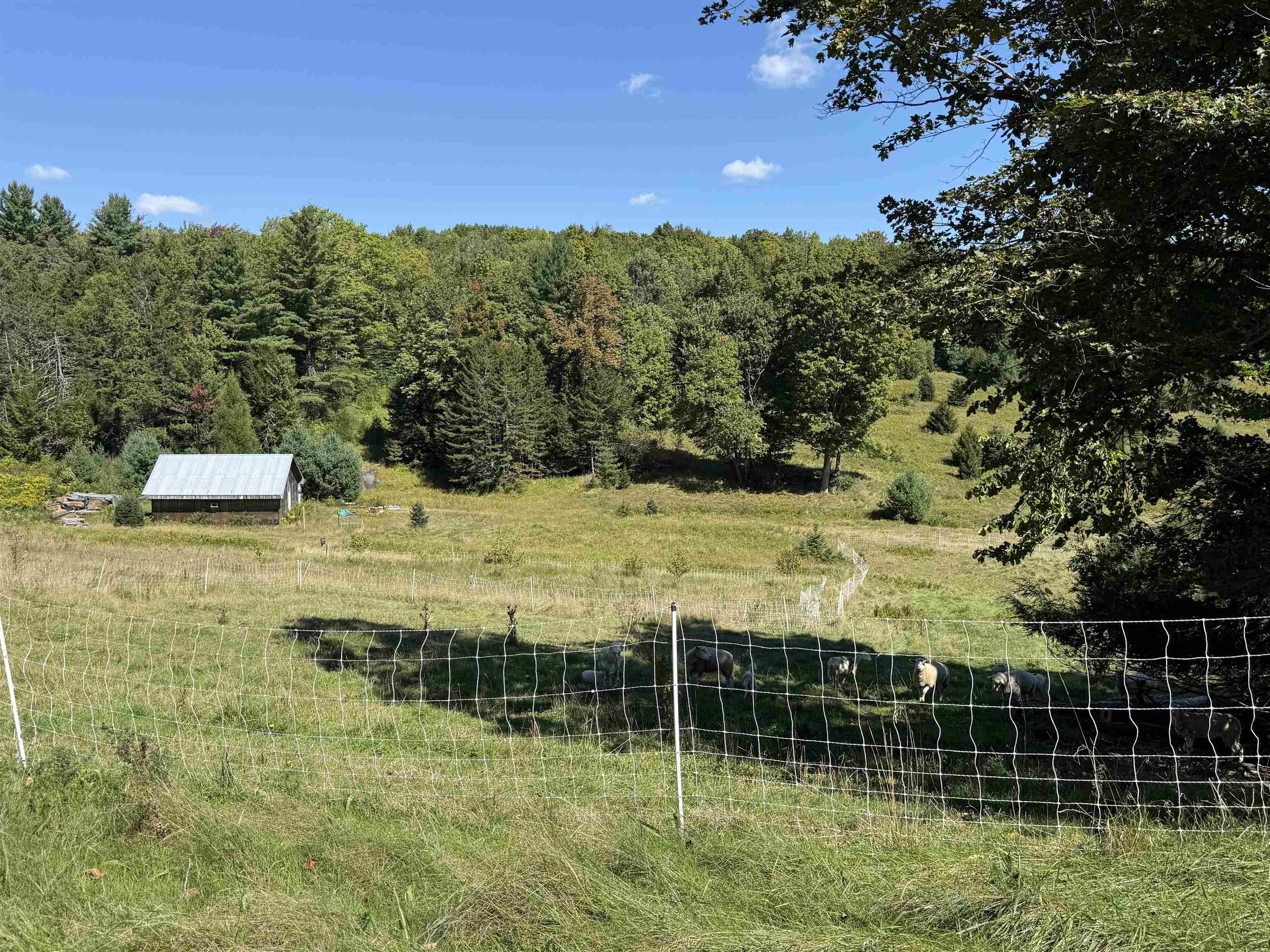 1720 Macintosh Hill Road photo 30