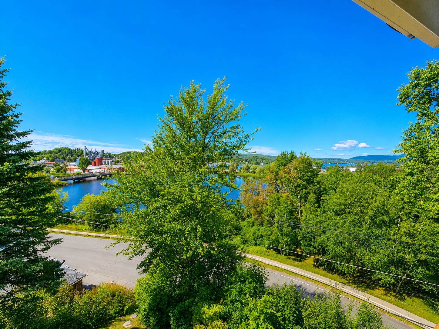 41 Herrick Street photo 35