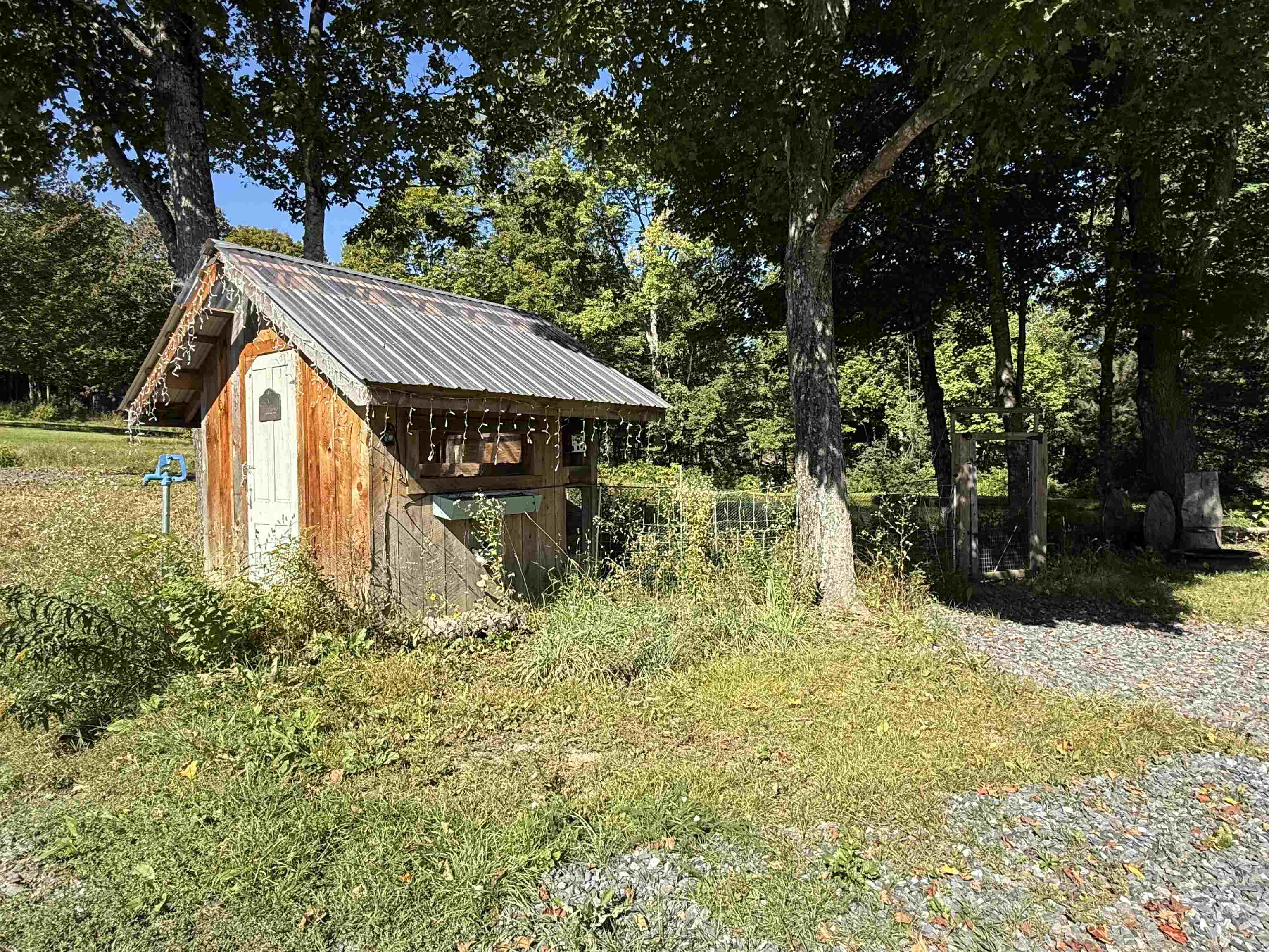1720 Macintosh Hill Road photo 37
