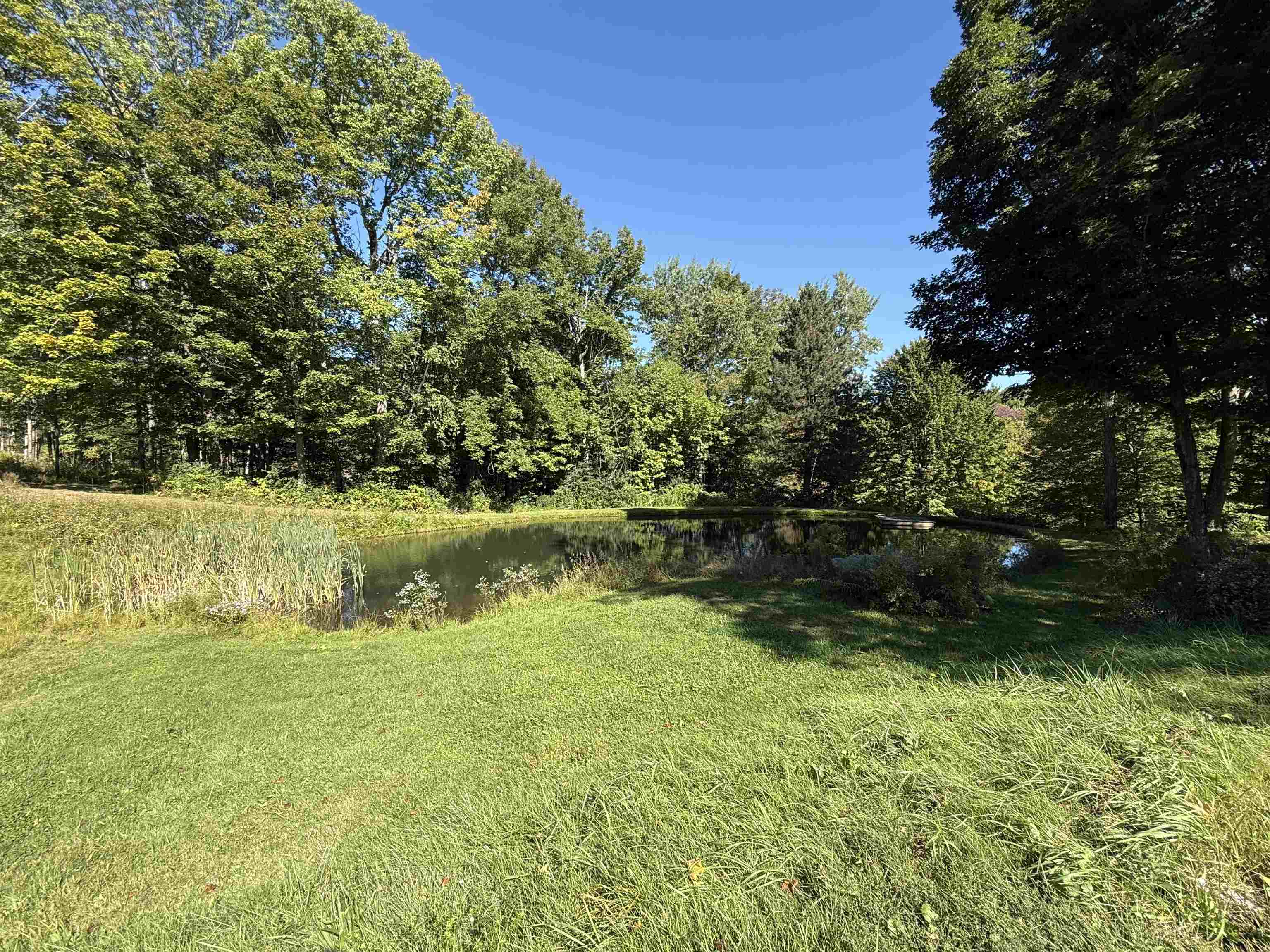 1720 Macintosh Hill Road photo 40