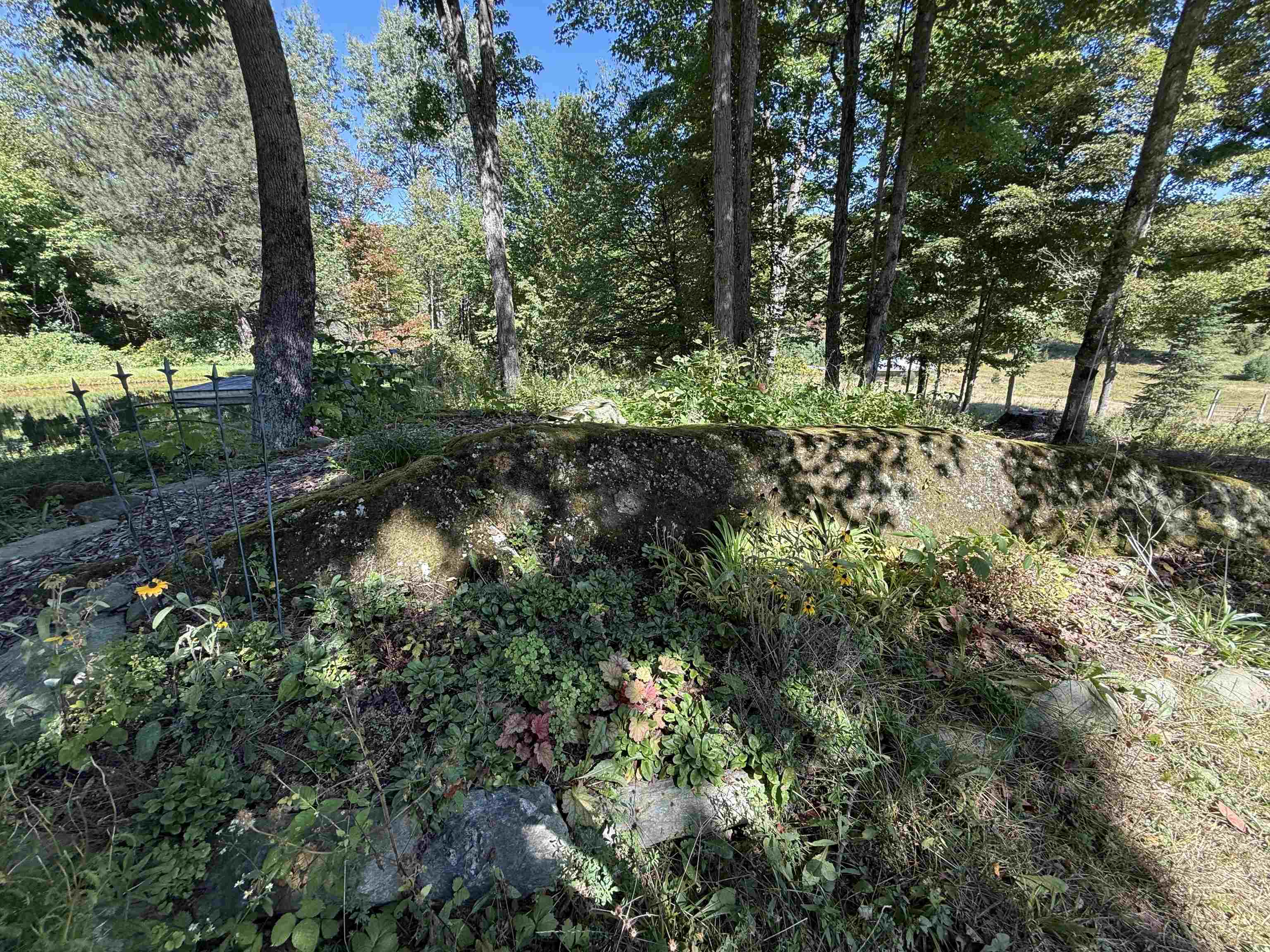1720 Macintosh Hill Road photo 44