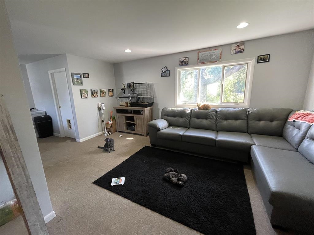 46 Terrill Street photo 3
