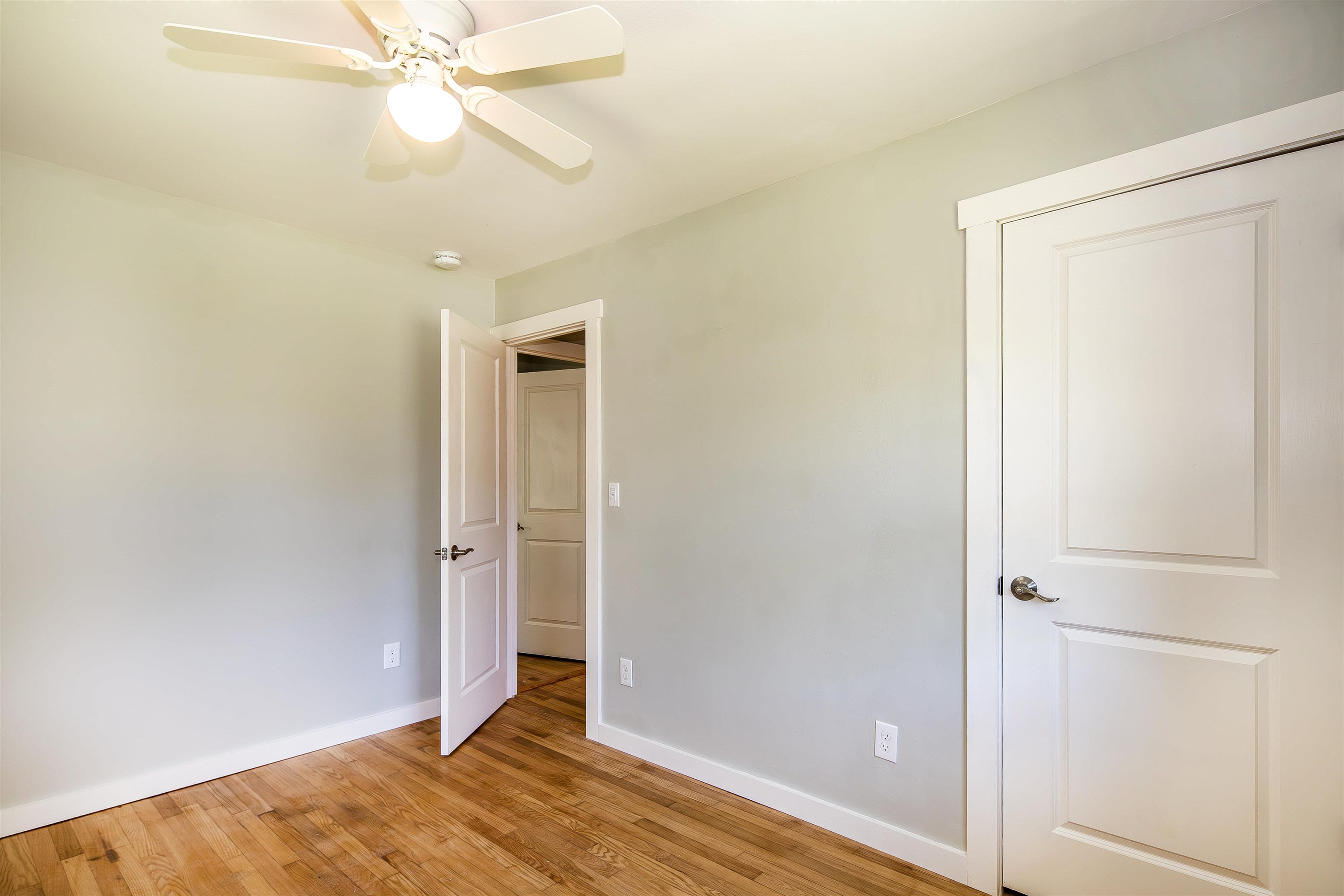 39 Williams Street photo 15